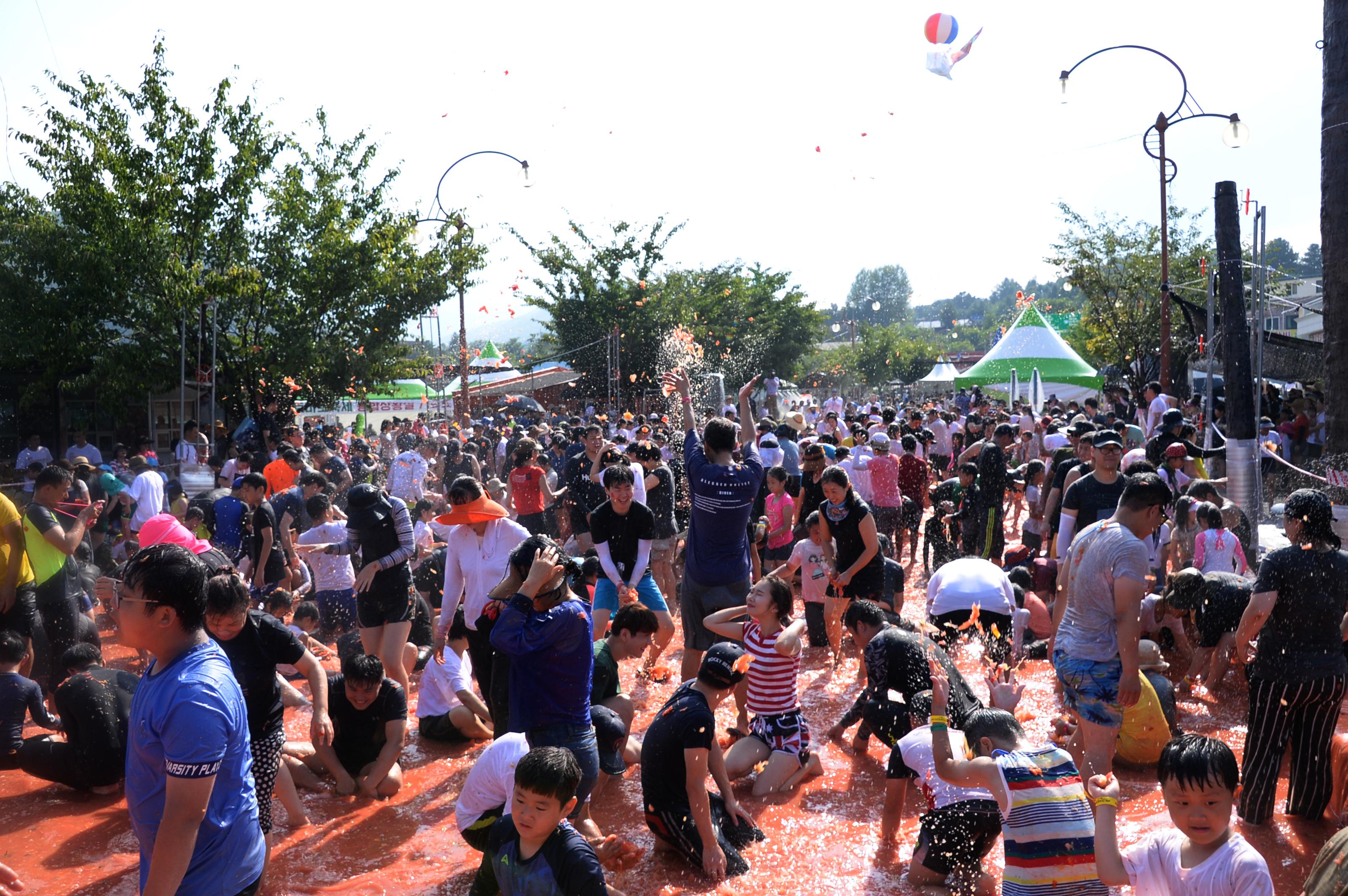 2018 화천토마토축제 주한대사 초청 황금반지를 찾아라 의 사진