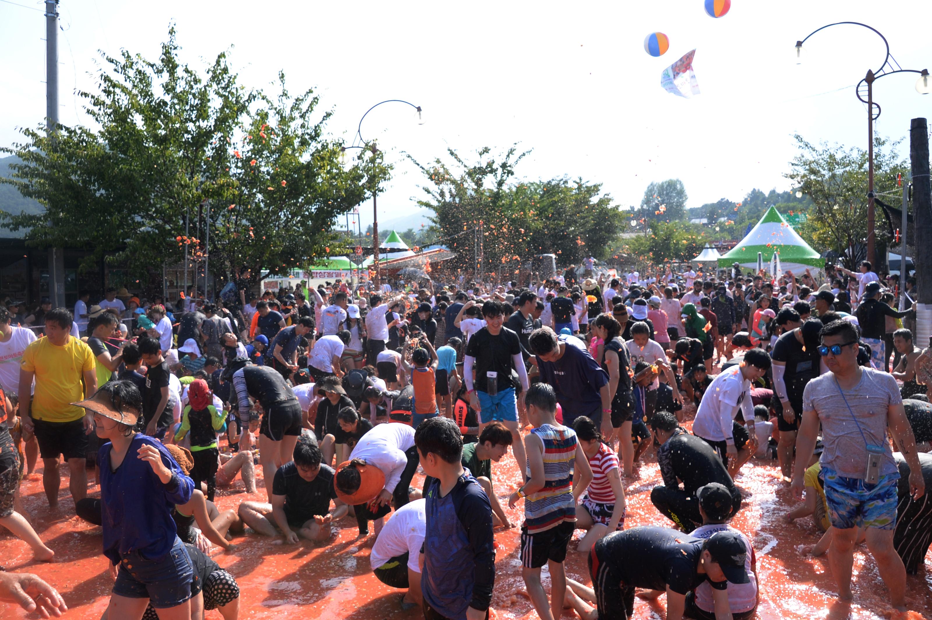 2018 화천토마토축제 주한대사 초청 황금반지를 찾아라 의 사진