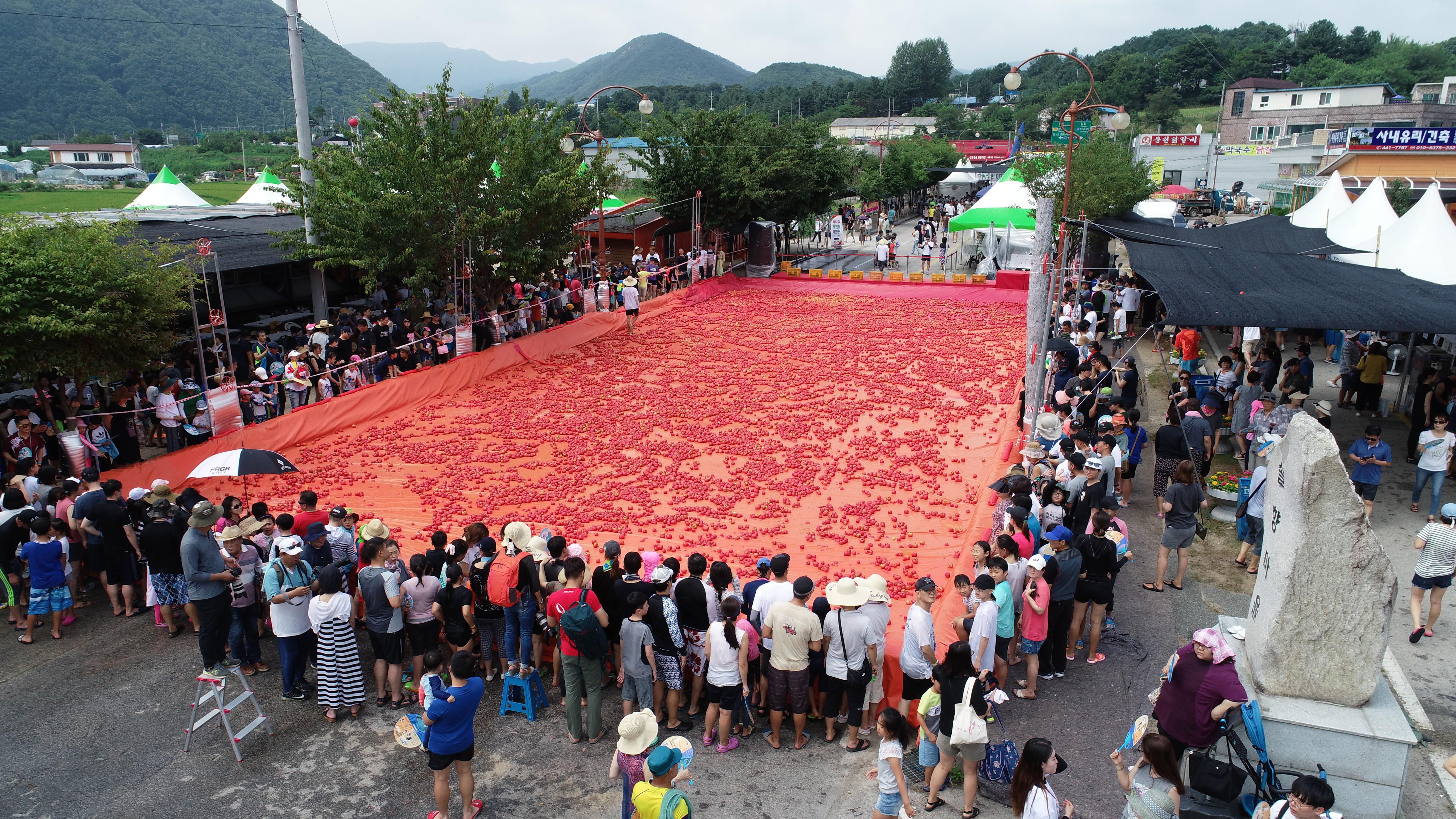 2018 화천토마토축제 하늘에서 본 토마토축제장 전경 사진