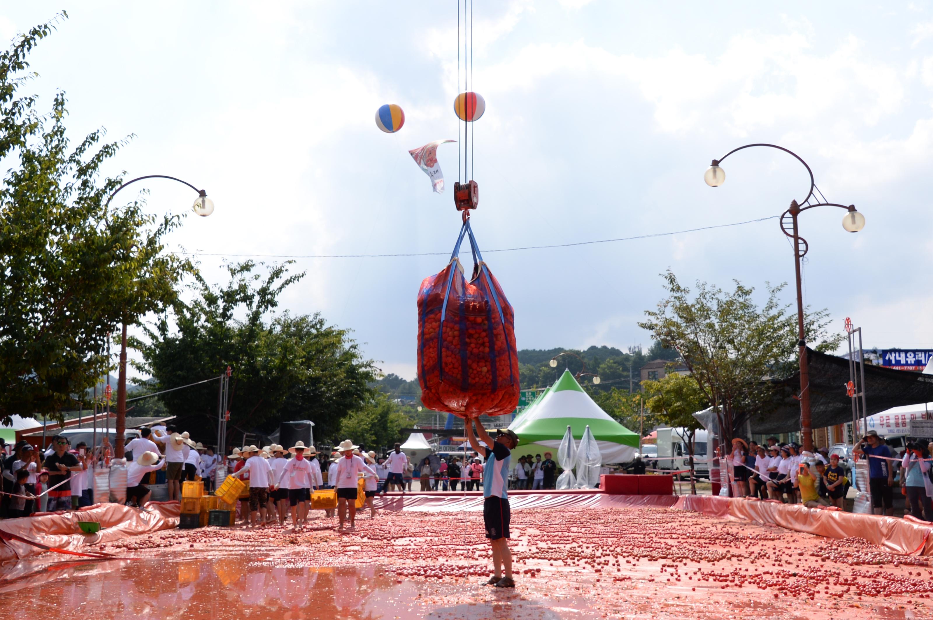 2018 화천토마토축제장 전경 의 사진