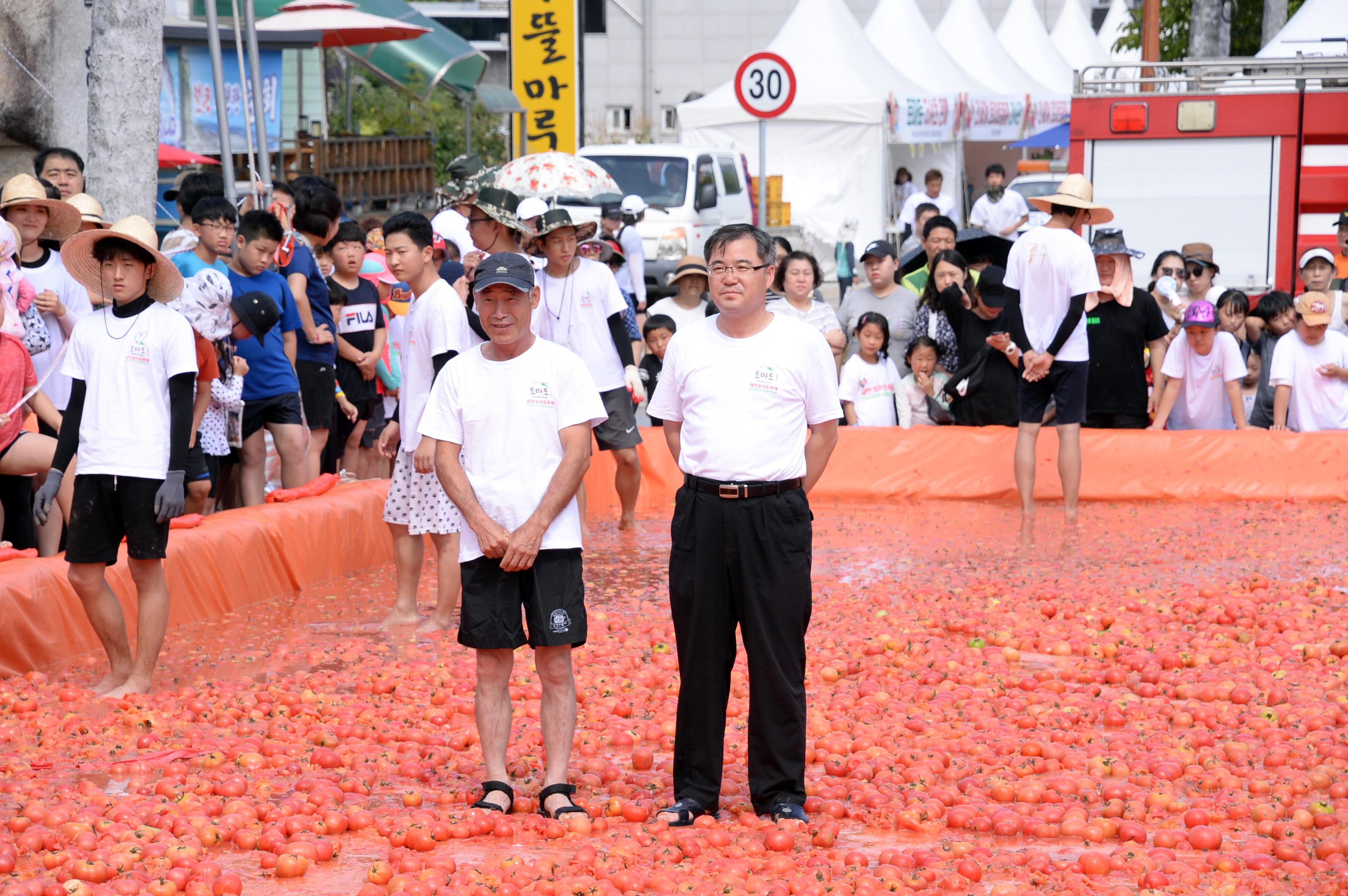 2018 화천토마토축제 황금반지를 찾아라 의 사진