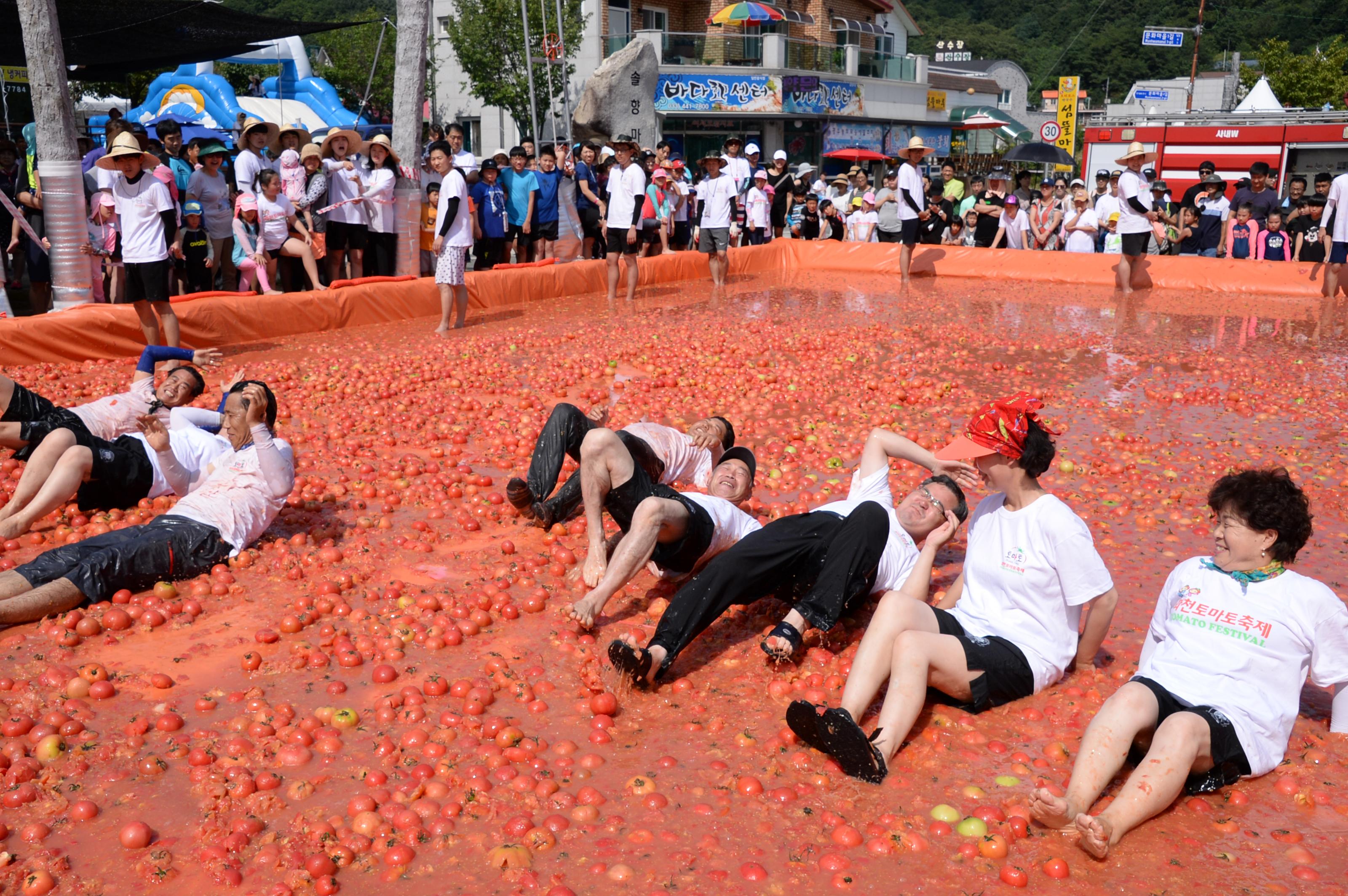 2018 화천토마토축제 황금반지를 찾아라 의 사진