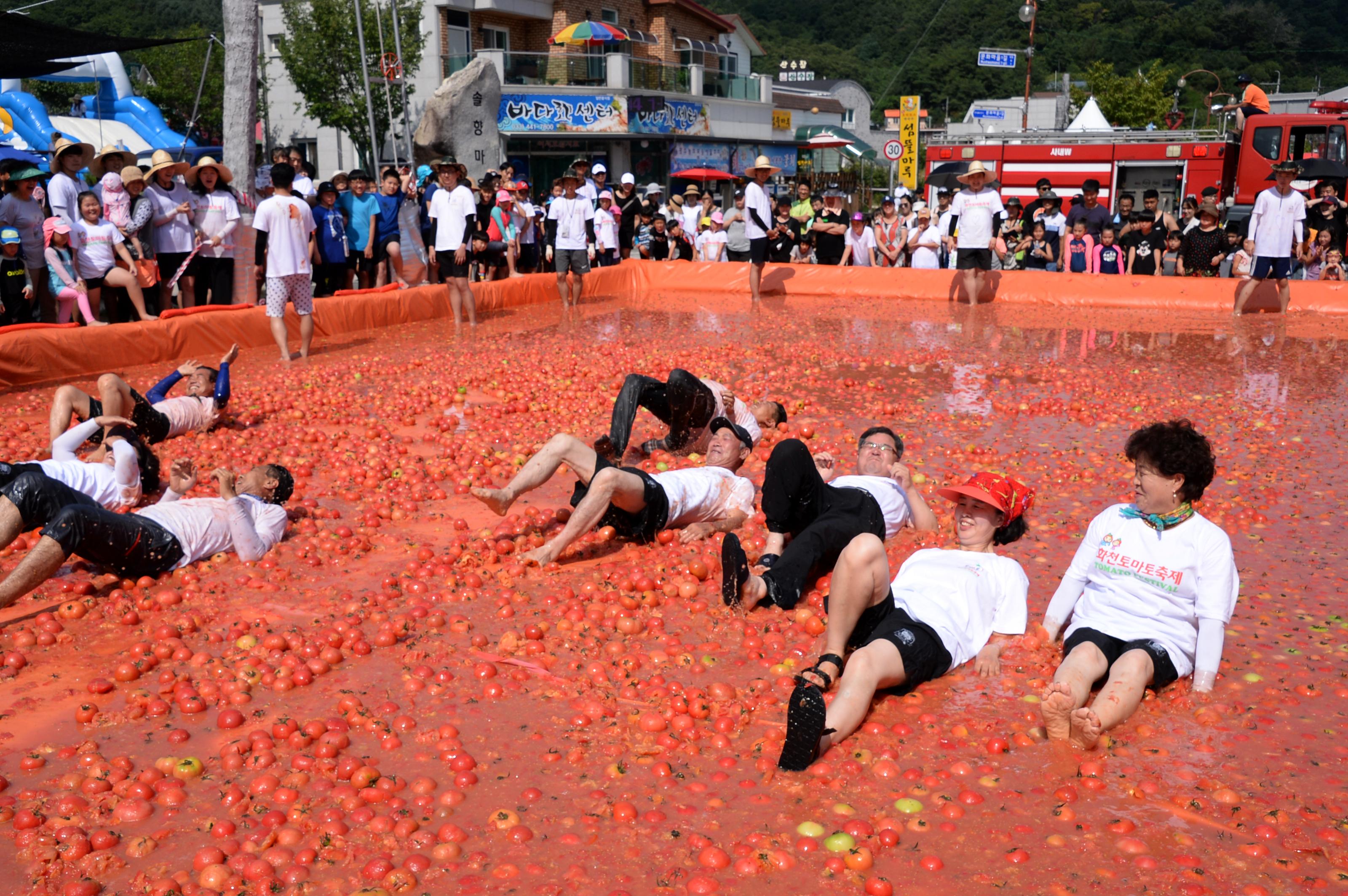 2018 화천토마토축제 황금반지를 찾아라 의 사진