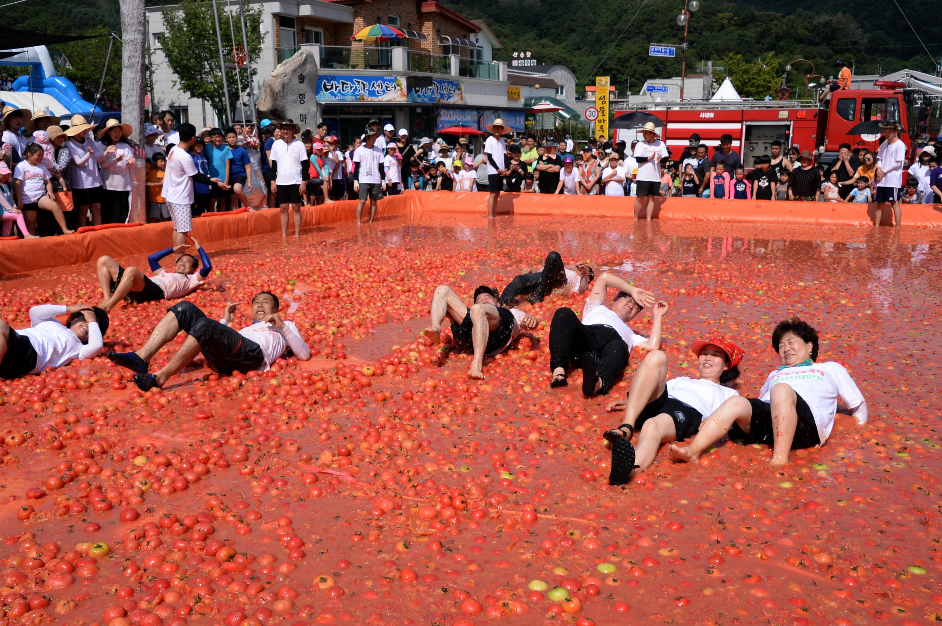 2018 화천토마토축제 황금반지를 찾아라 의 사진