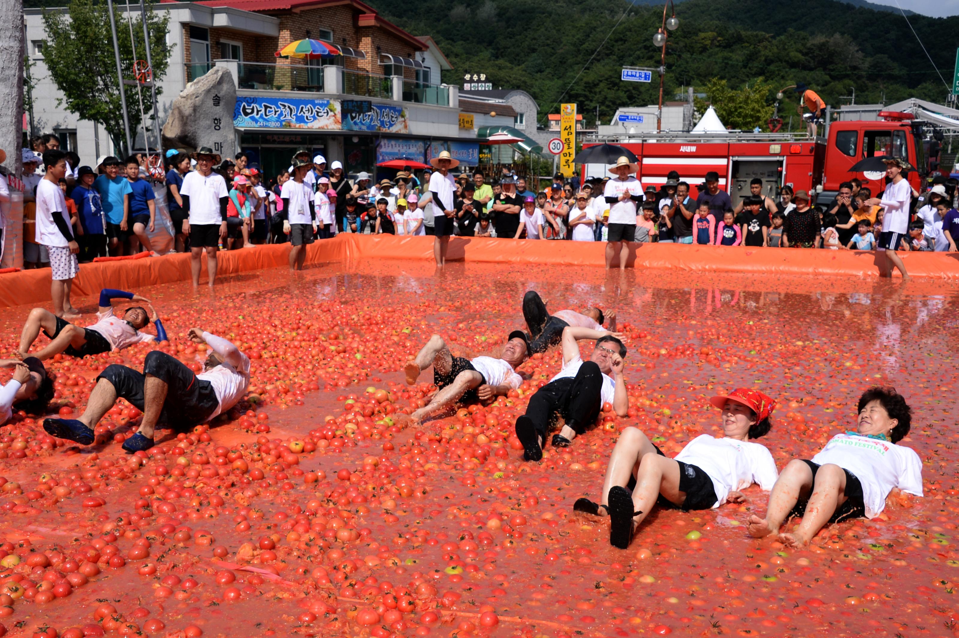 2018 화천토마토축제 황금반지를 찾아라 의 사진