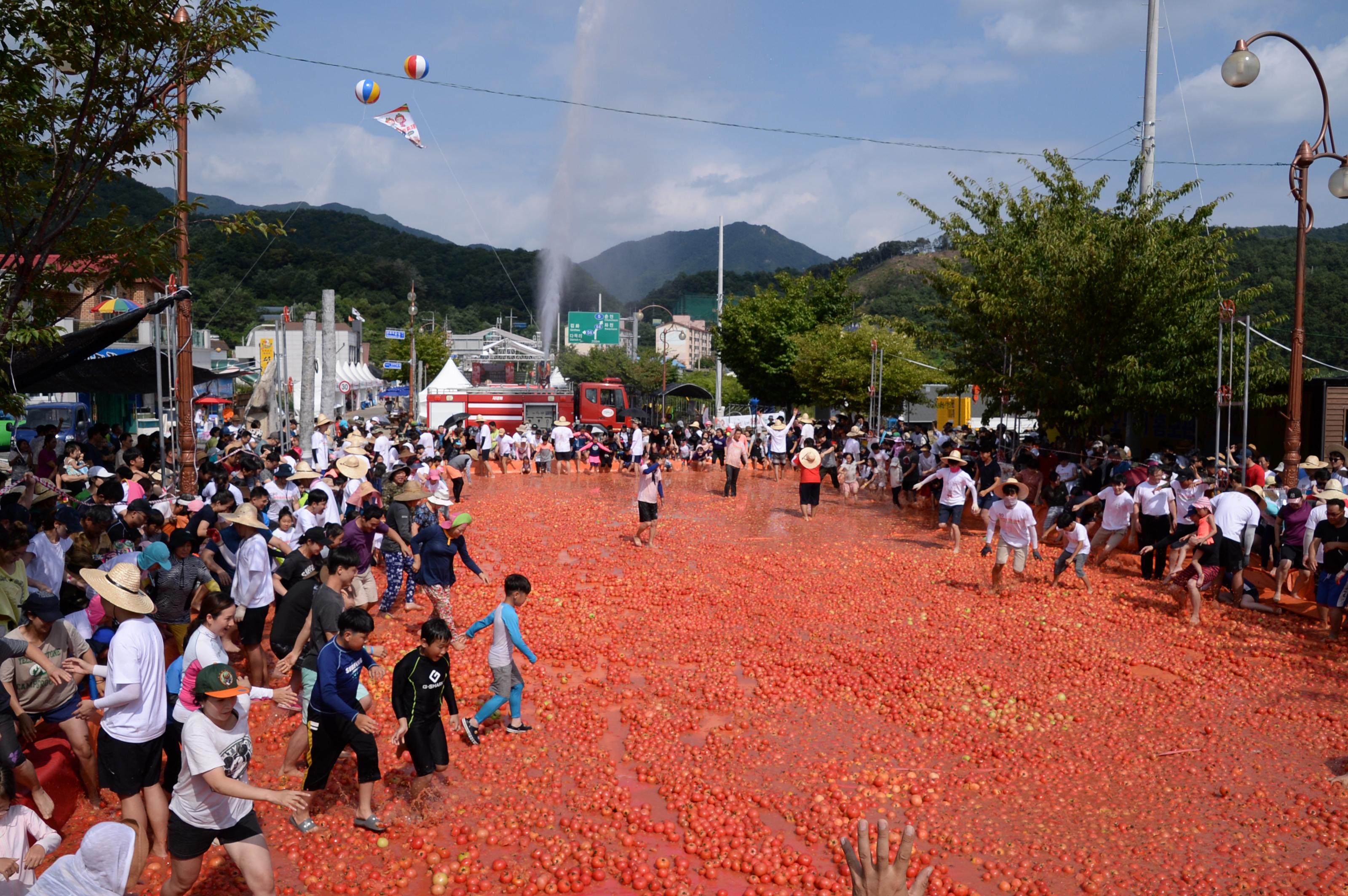 2018 화천토마토축제 황금반지를 찾아라 의 사진