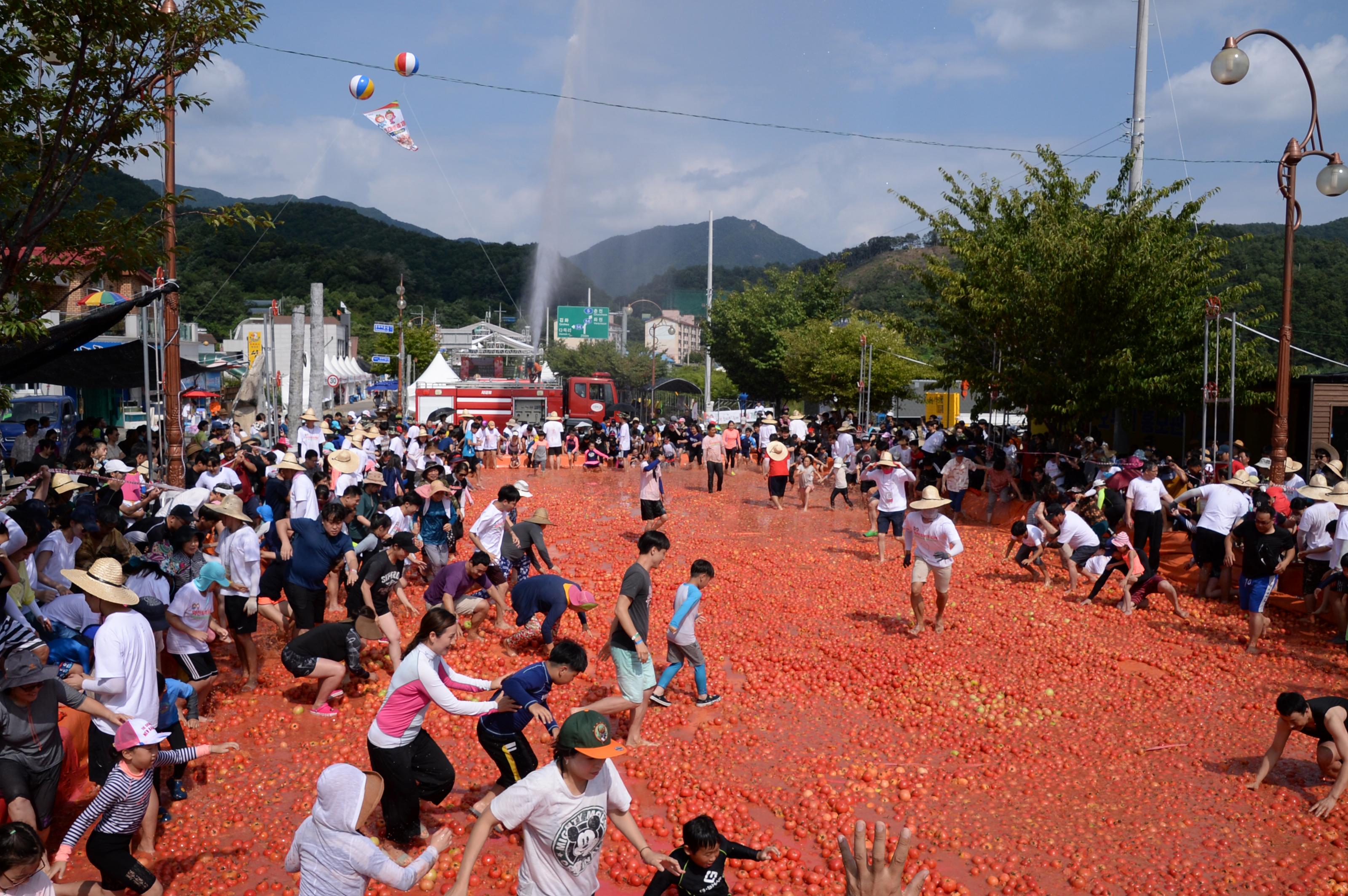 2018 화천토마토축제 황금반지를 찾아라 의 사진