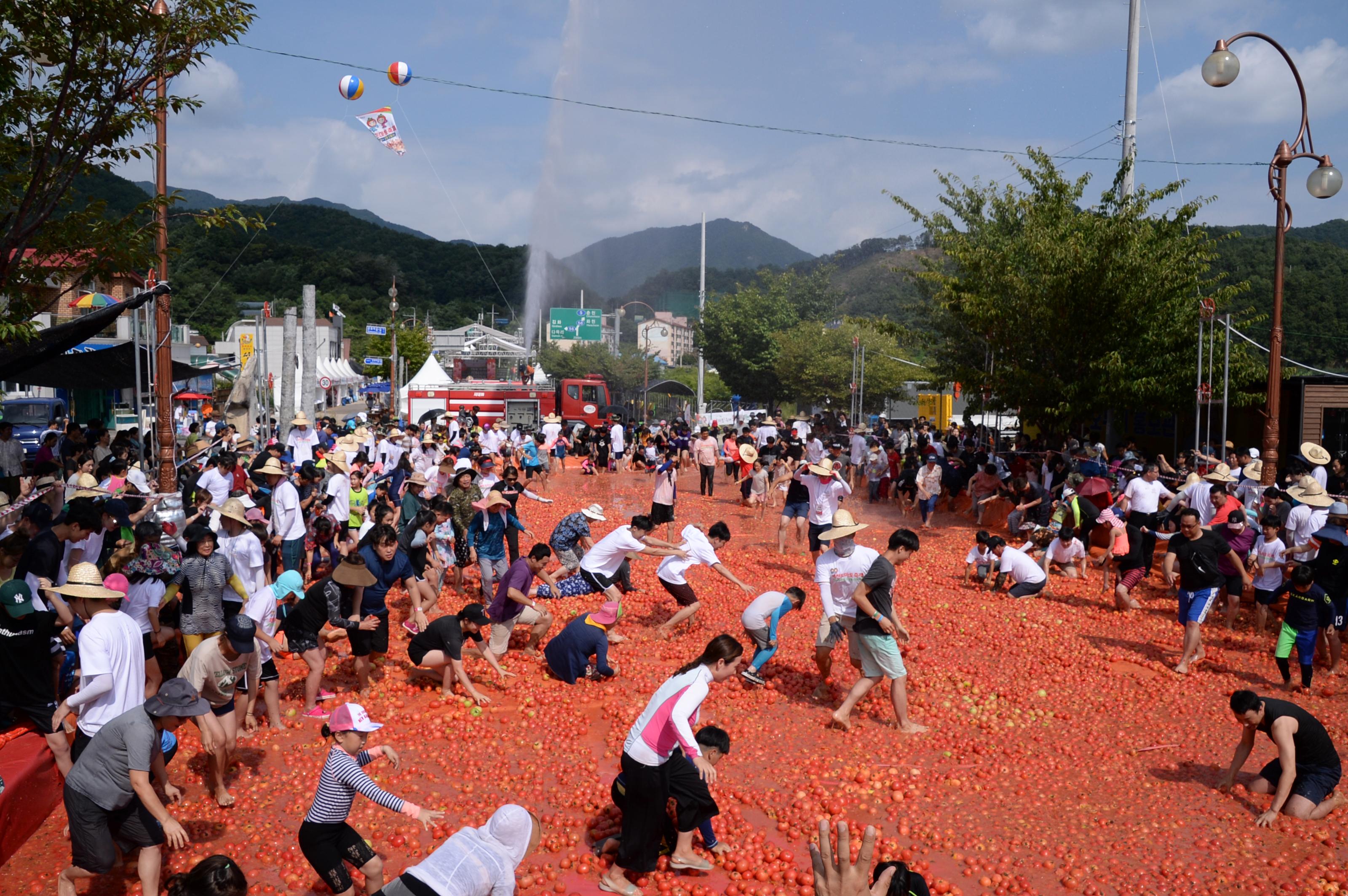 2018 화천토마토축제 황금반지를 찾아라 의 사진