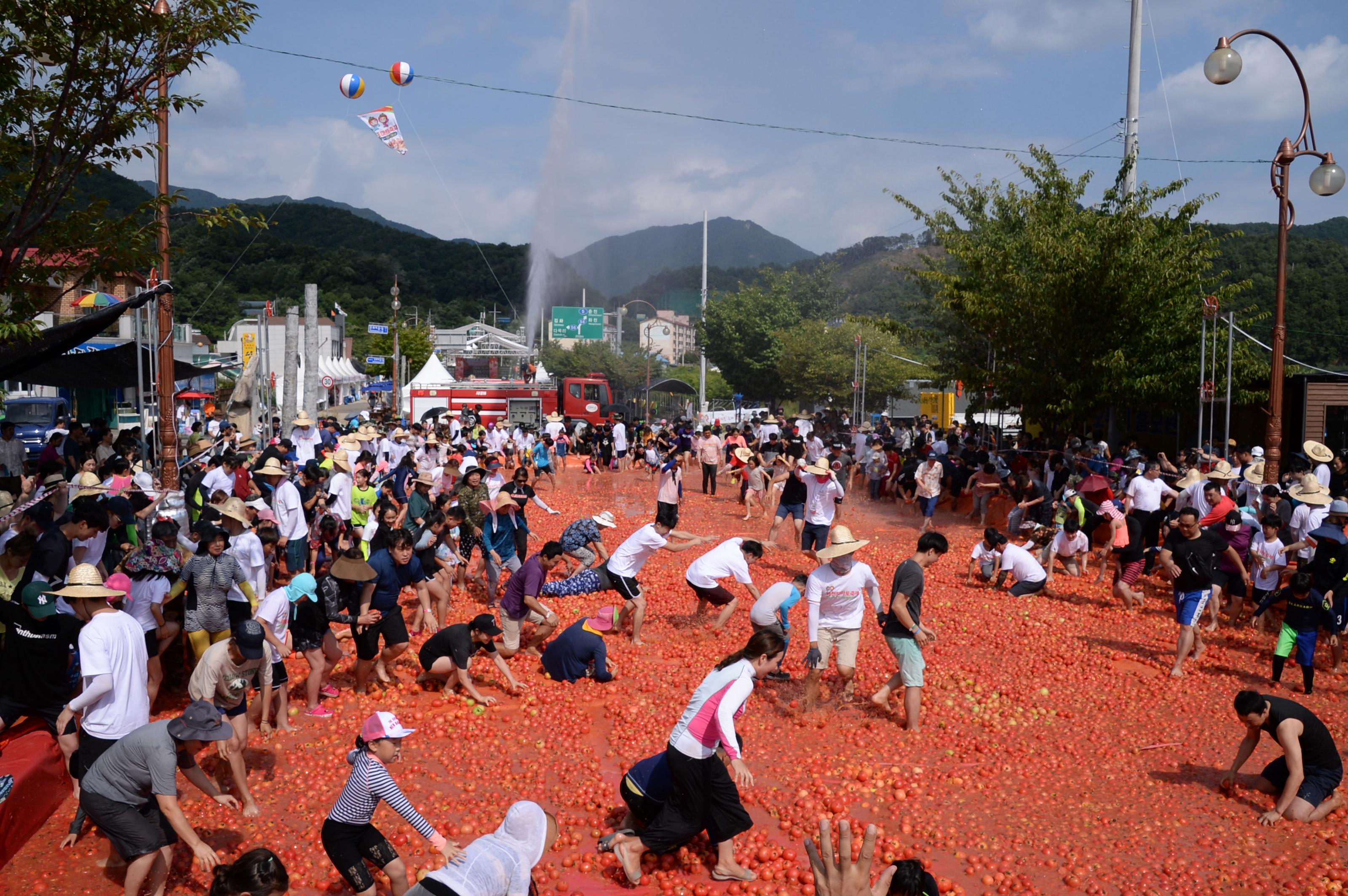 2018 화천토마토축제 황금반지를 찾아라 의 사진