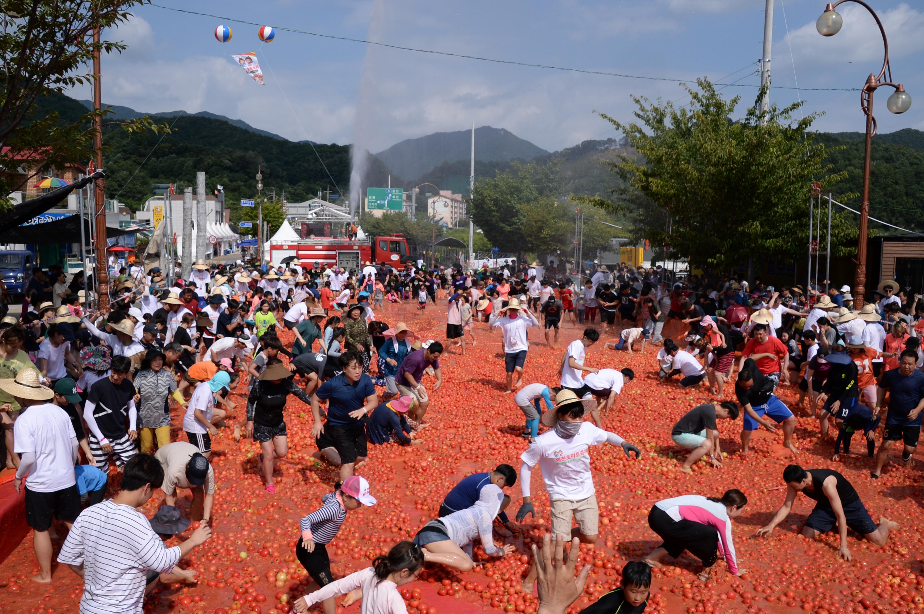 2018 화천토마토축제 황금반지를 찾아라 의 사진