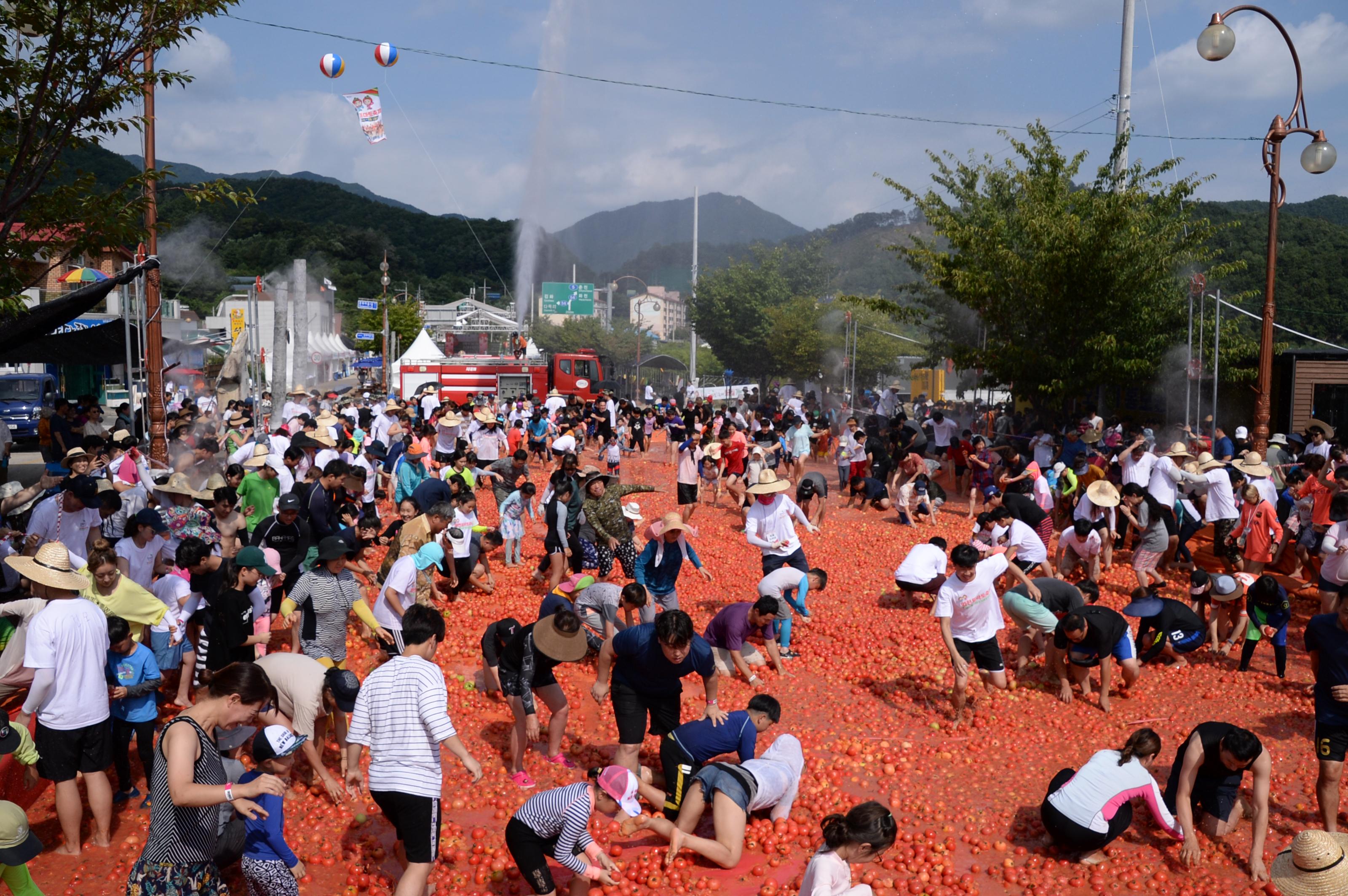 2018 화천토마토축제 황금반지를 찾아라 의 사진