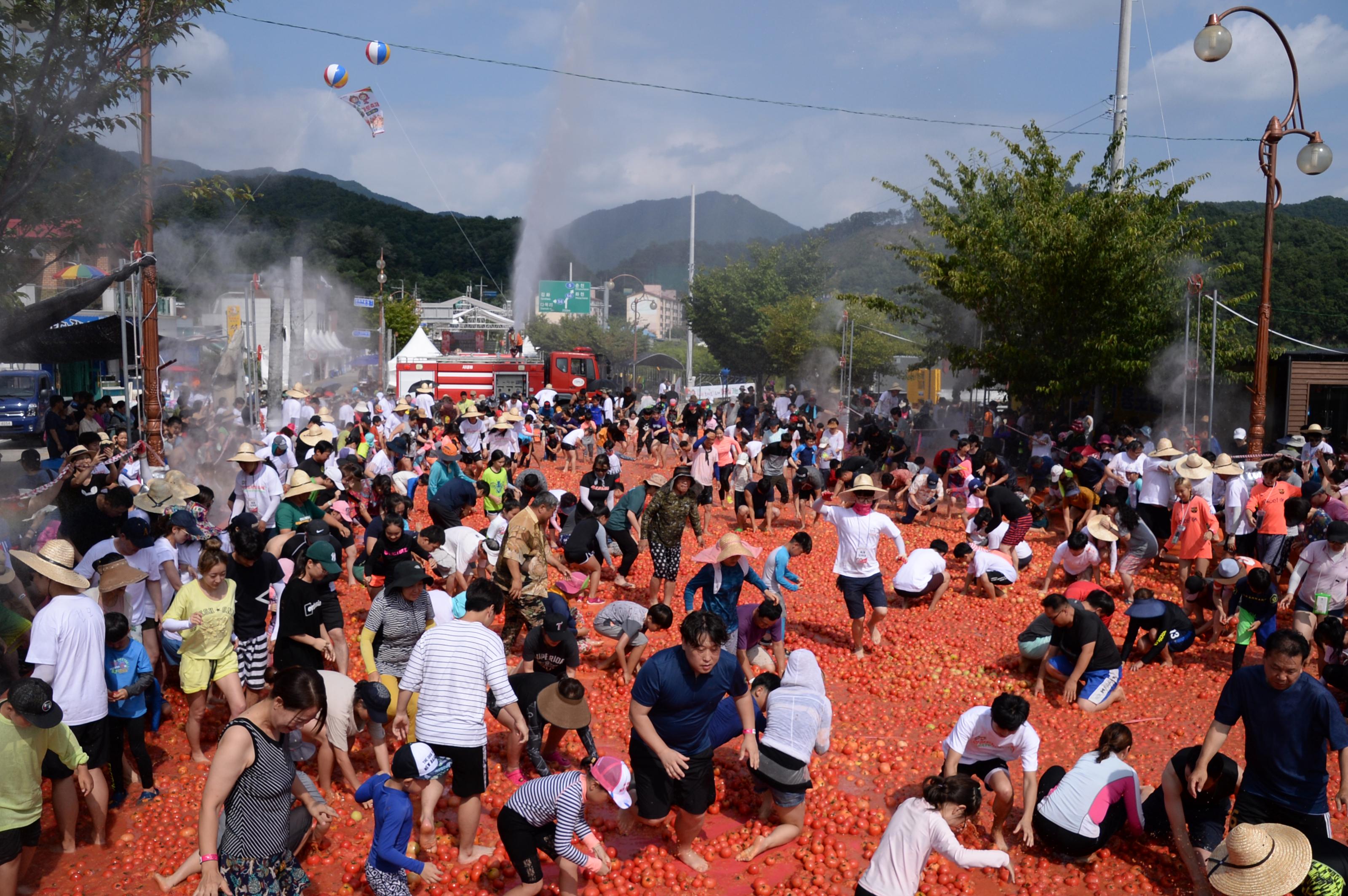 2018 화천토마토축제 황금반지를 찾아라 의 사진