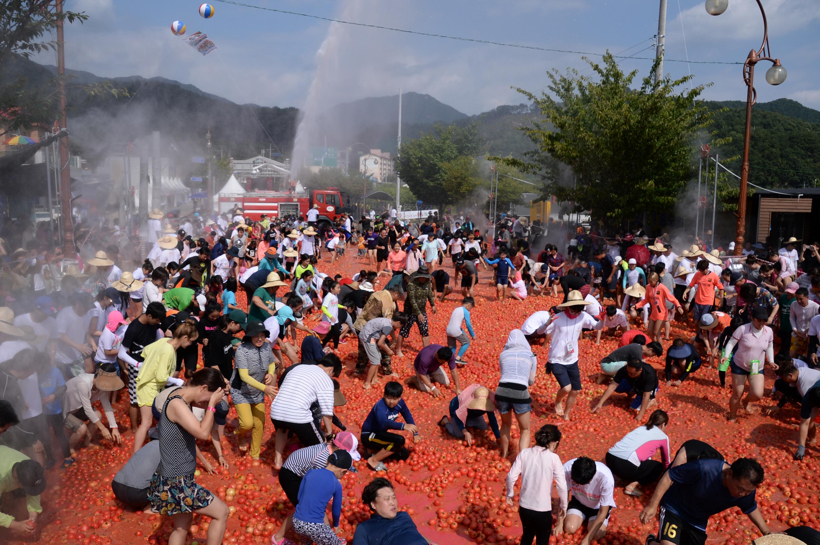 2018 화천토마토축제 황금반지를 찾아라 의 사진