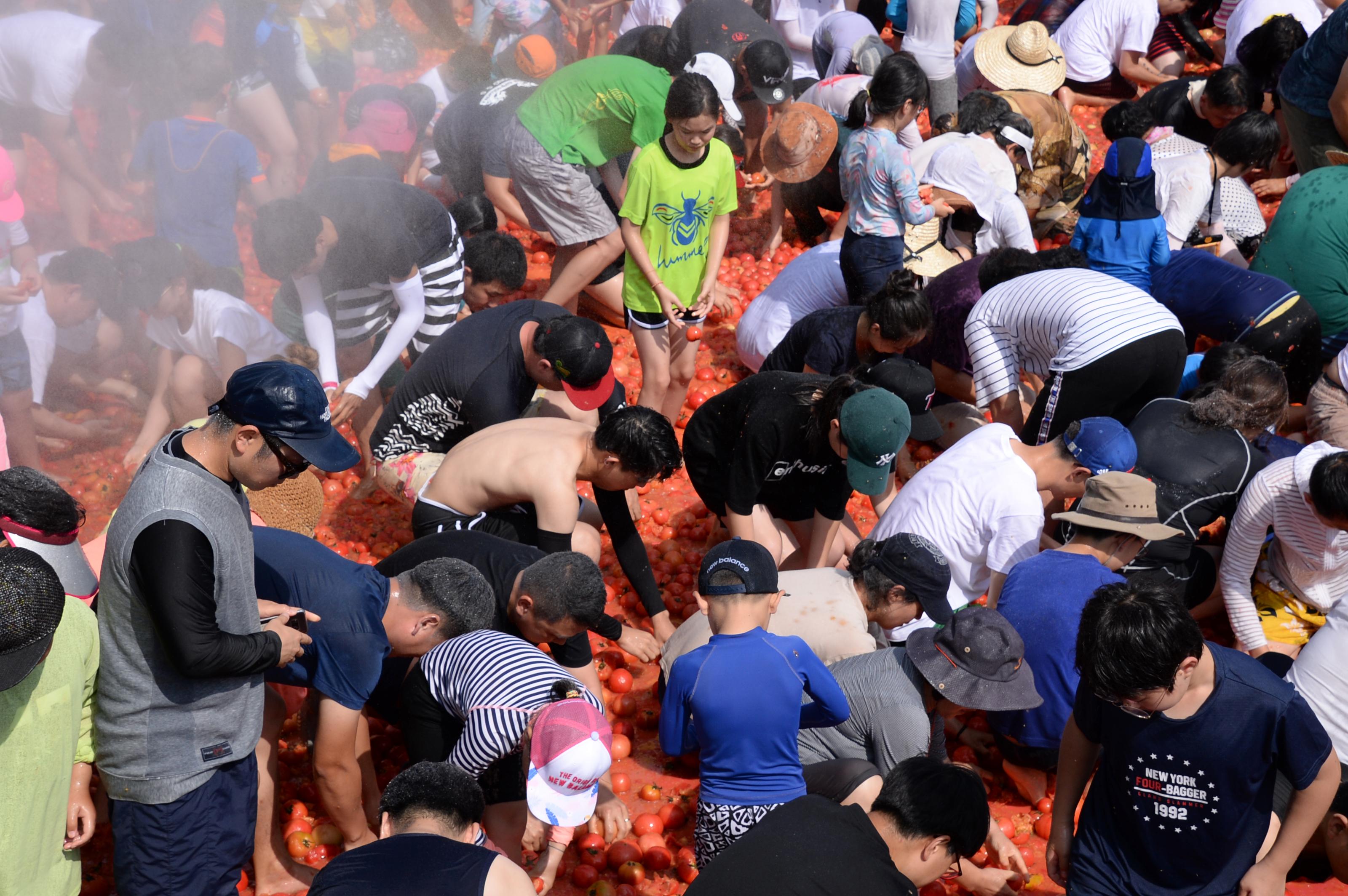 2018 화천토마토축제 황금반지를 찾아라 의 사진