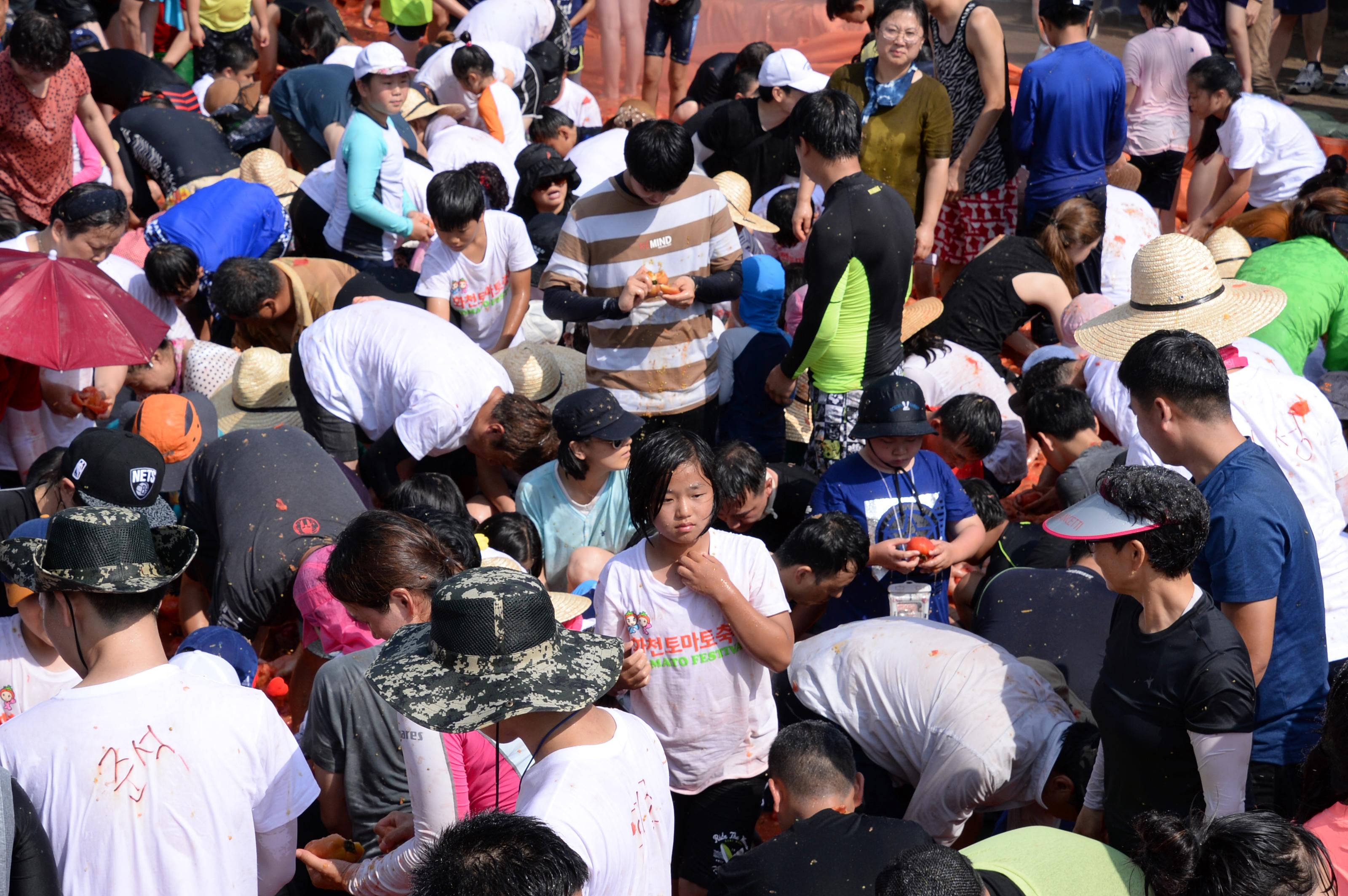 2018 화천토마토축제 황금반지를 찾아라 의 사진