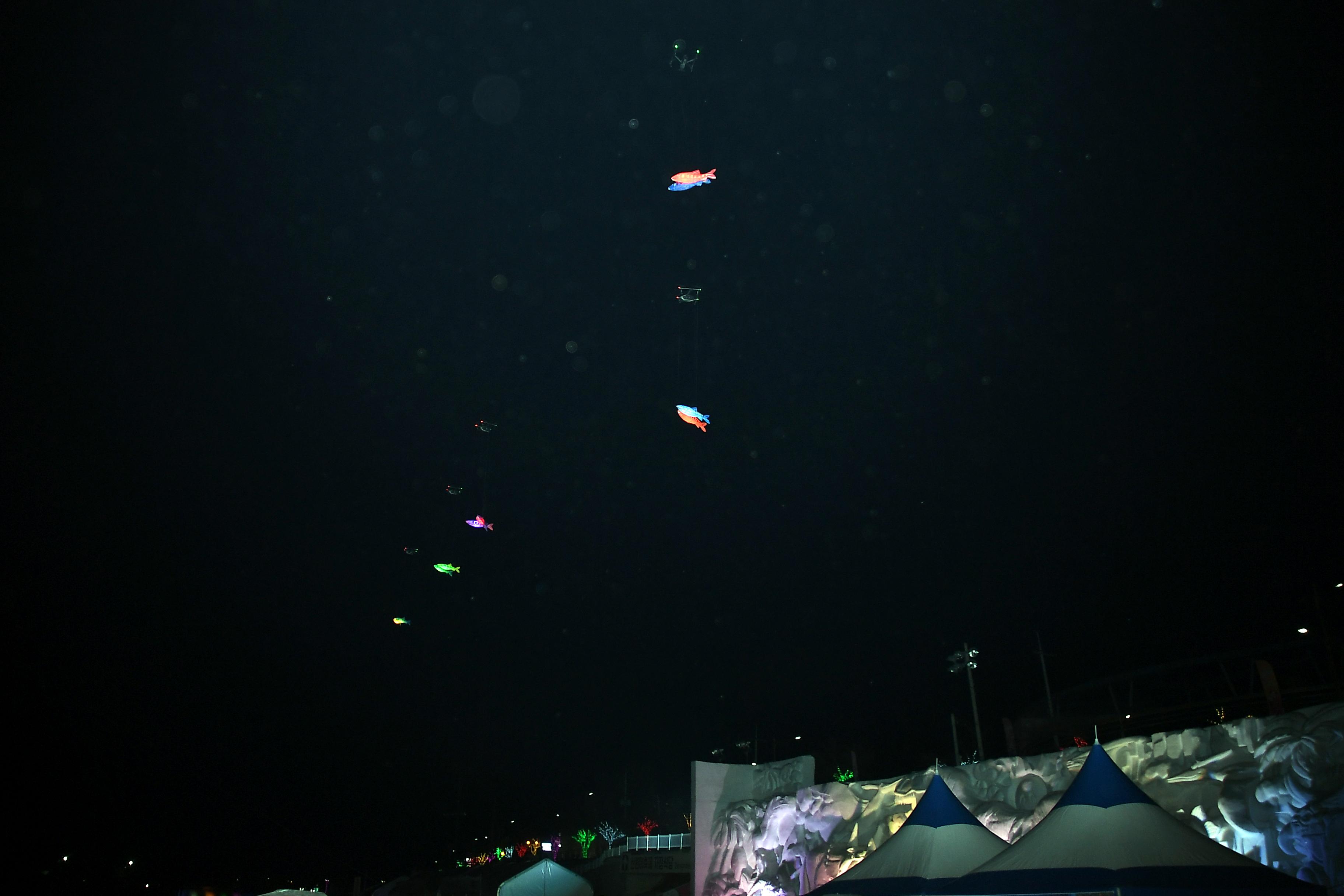 2019 화천산천어축제 개막식 의 사진