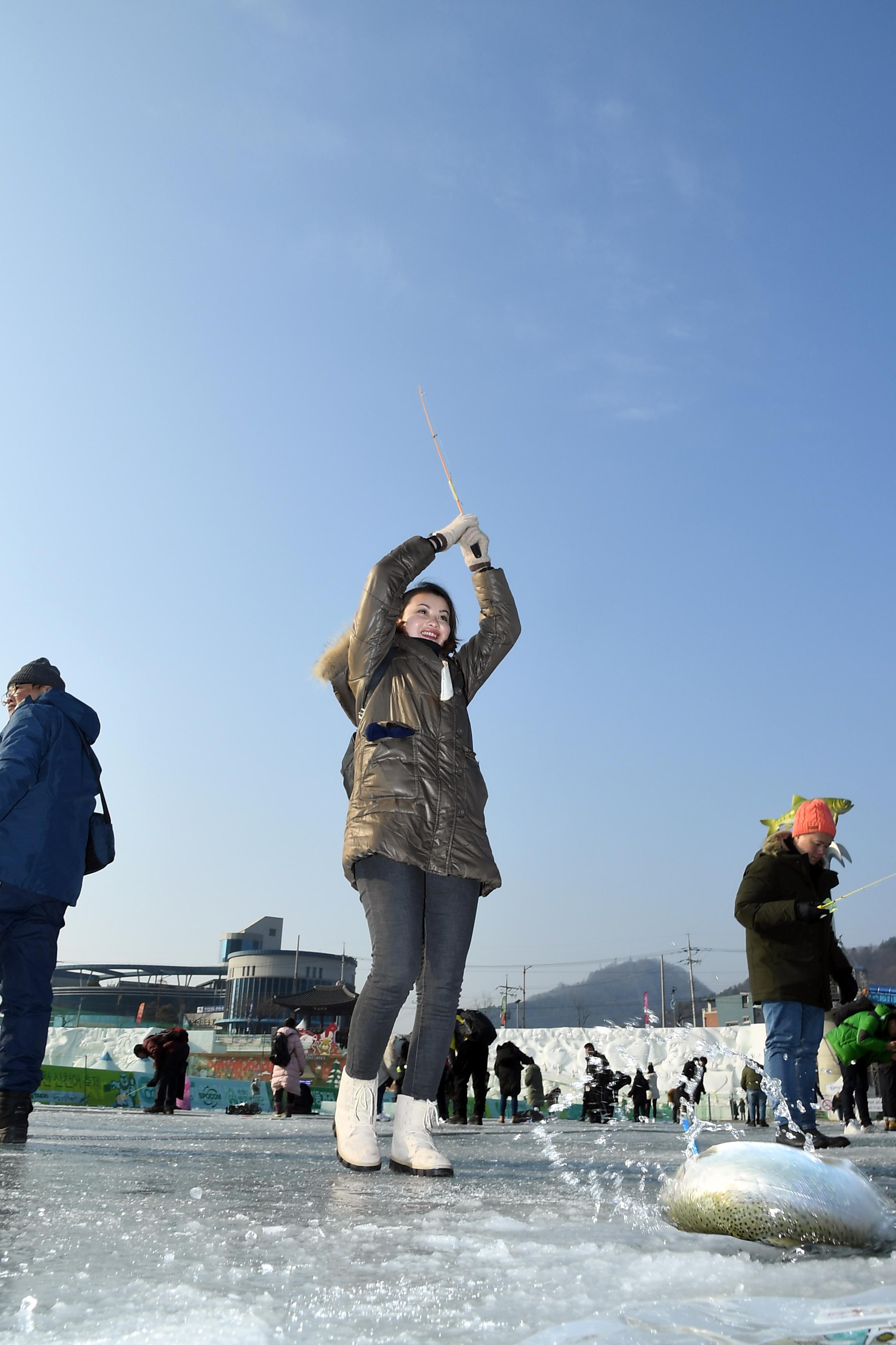 2019 화천산천어축제 외국인 산천어얼음낚시터 전경 사진