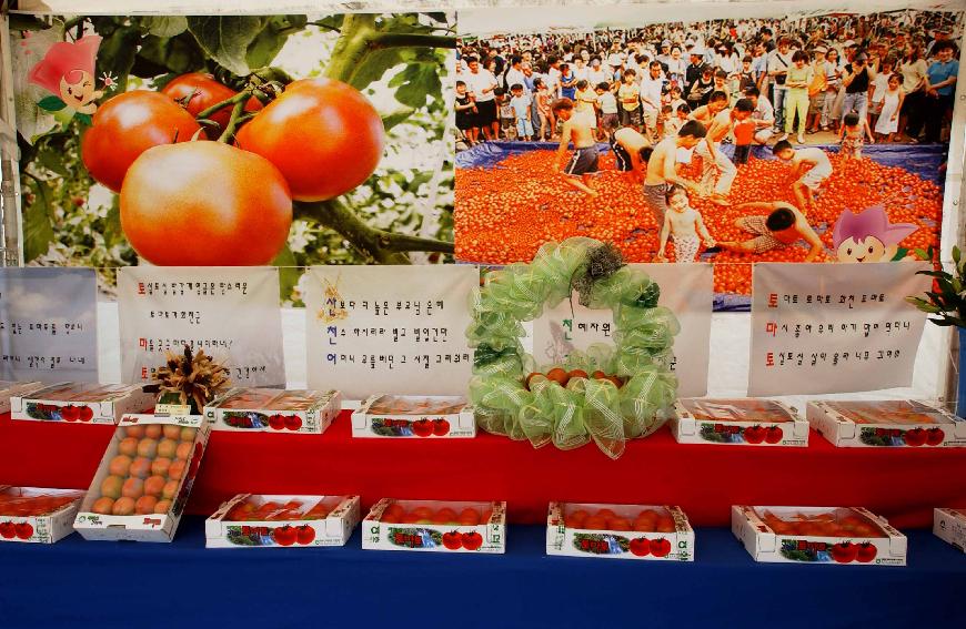 토마토축제 사진