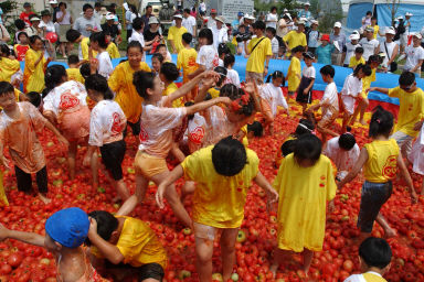 토마토축제 의 사진