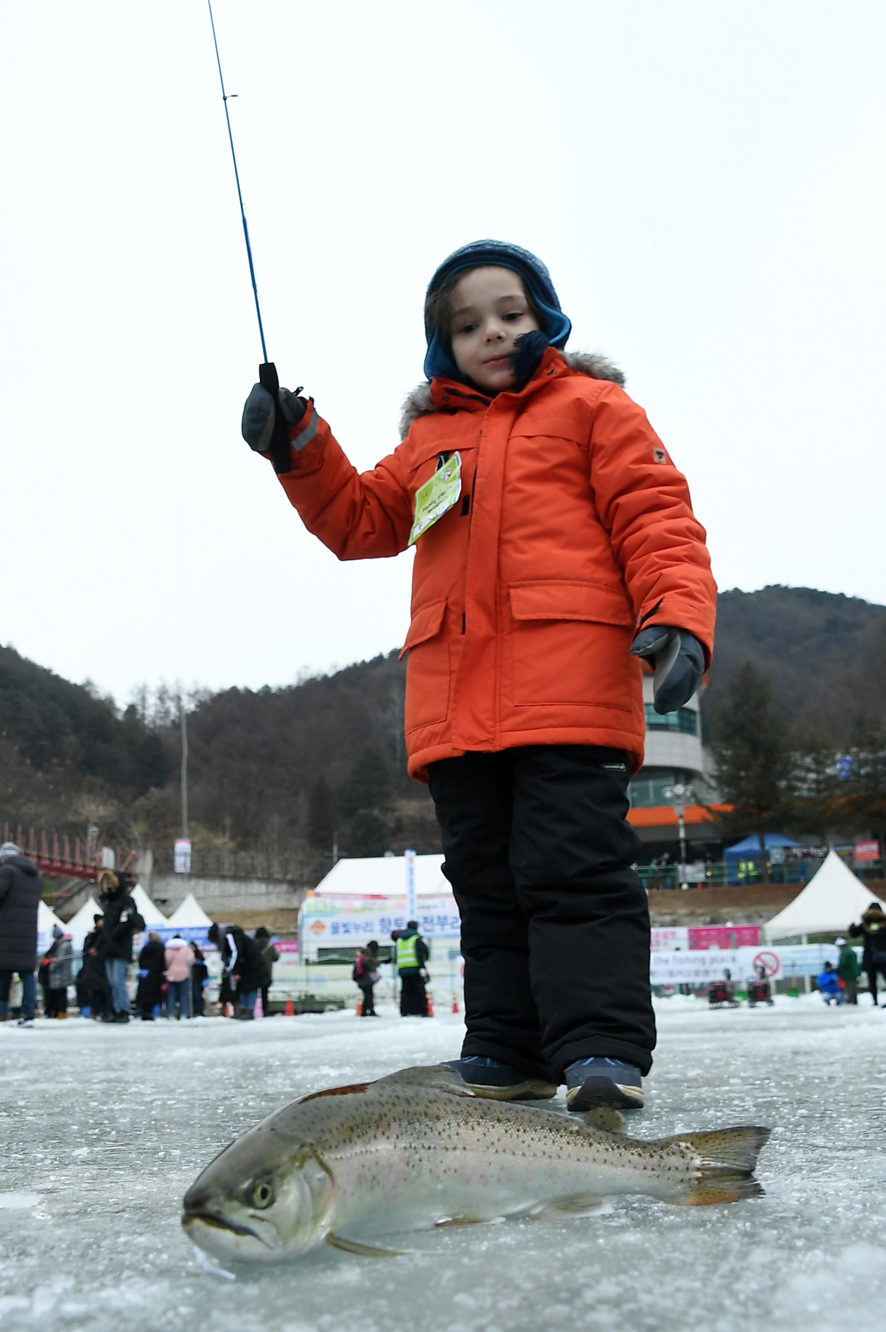 2019 화천산천어축제 외국인 산천어얼음낚시터 전경 사진