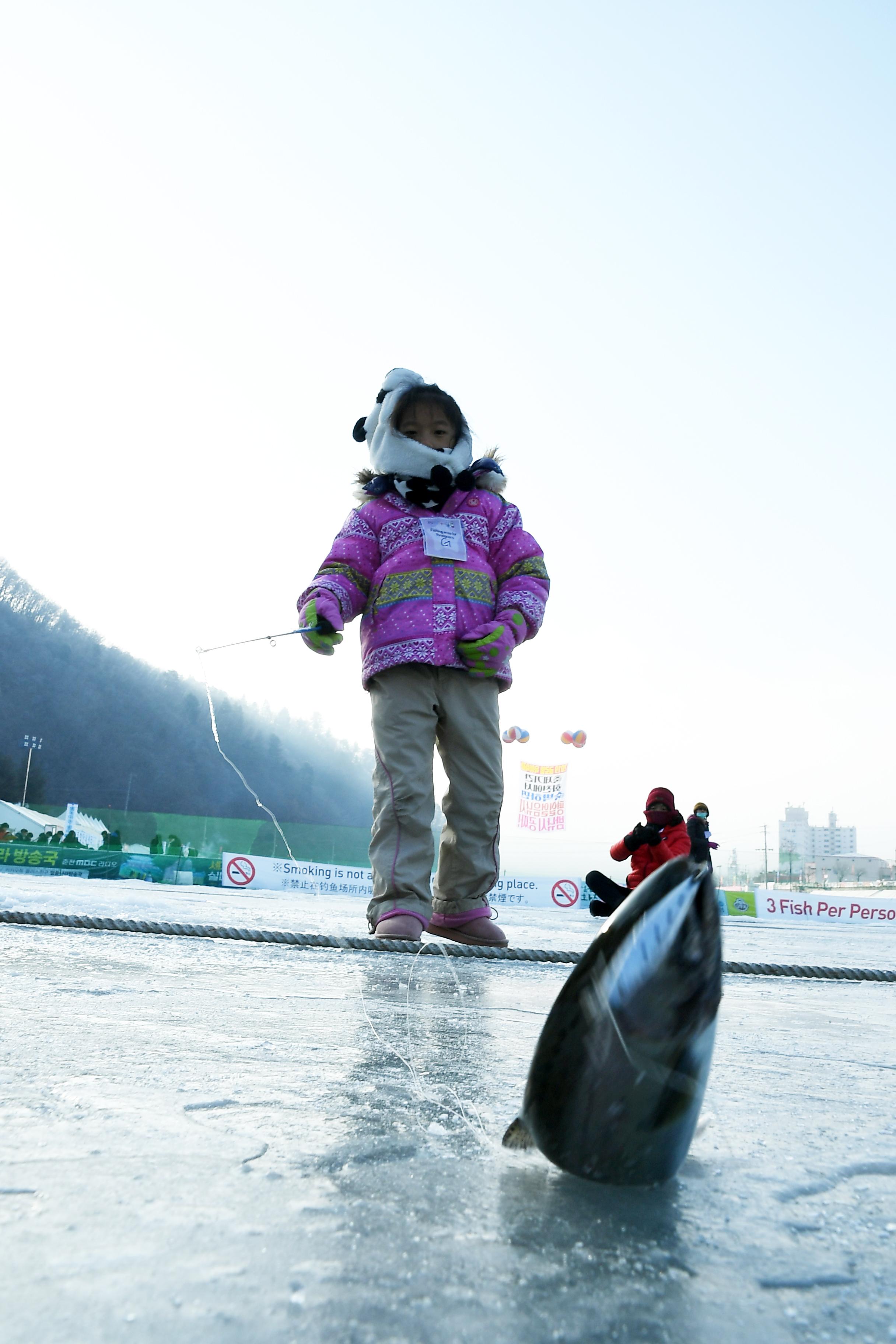 2019 화천산천어축제 외국인 산천어얼음낚시터 전경 의 사진