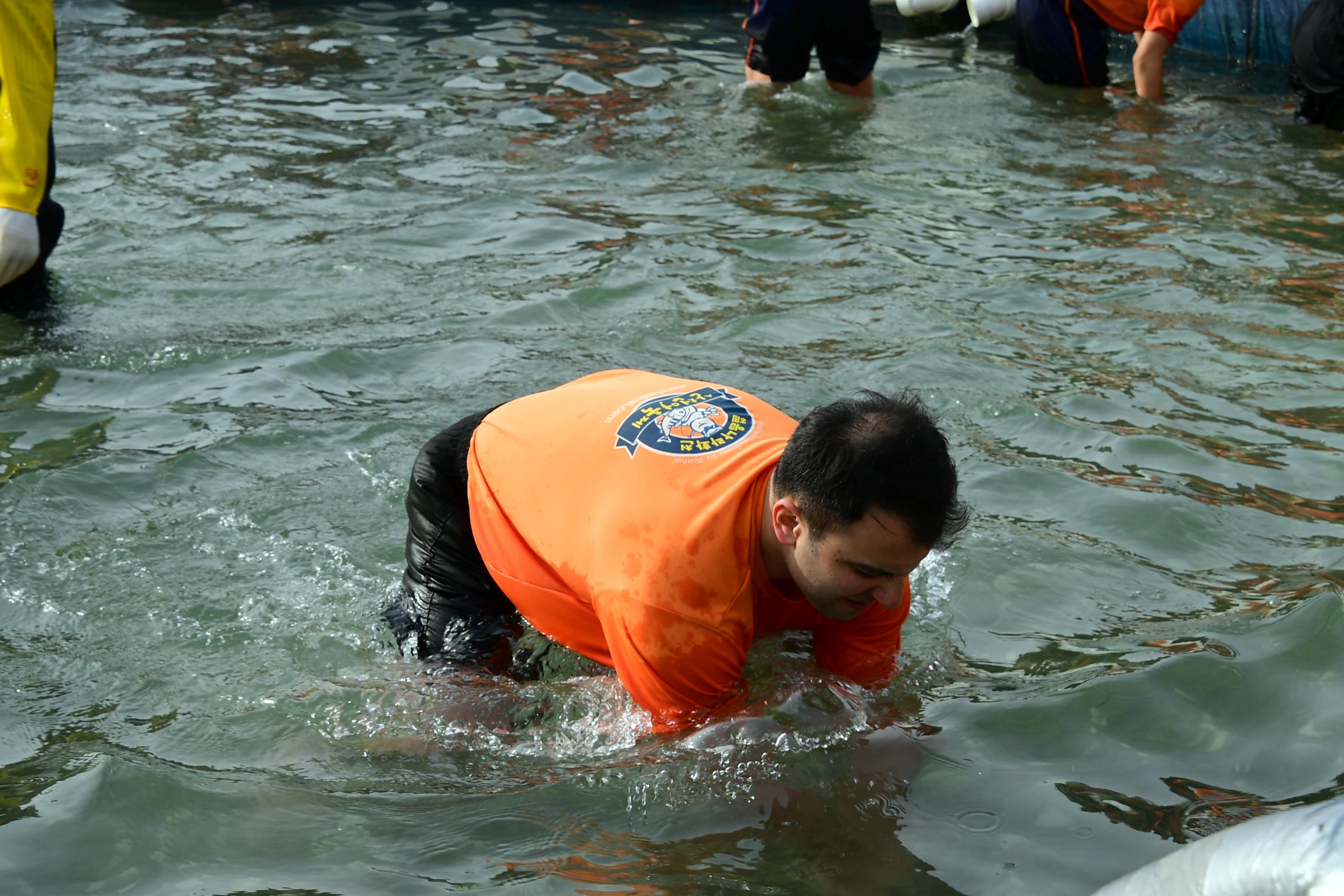 2019 화천산천어축제 산천어맨손잡기장 전경 의 사진