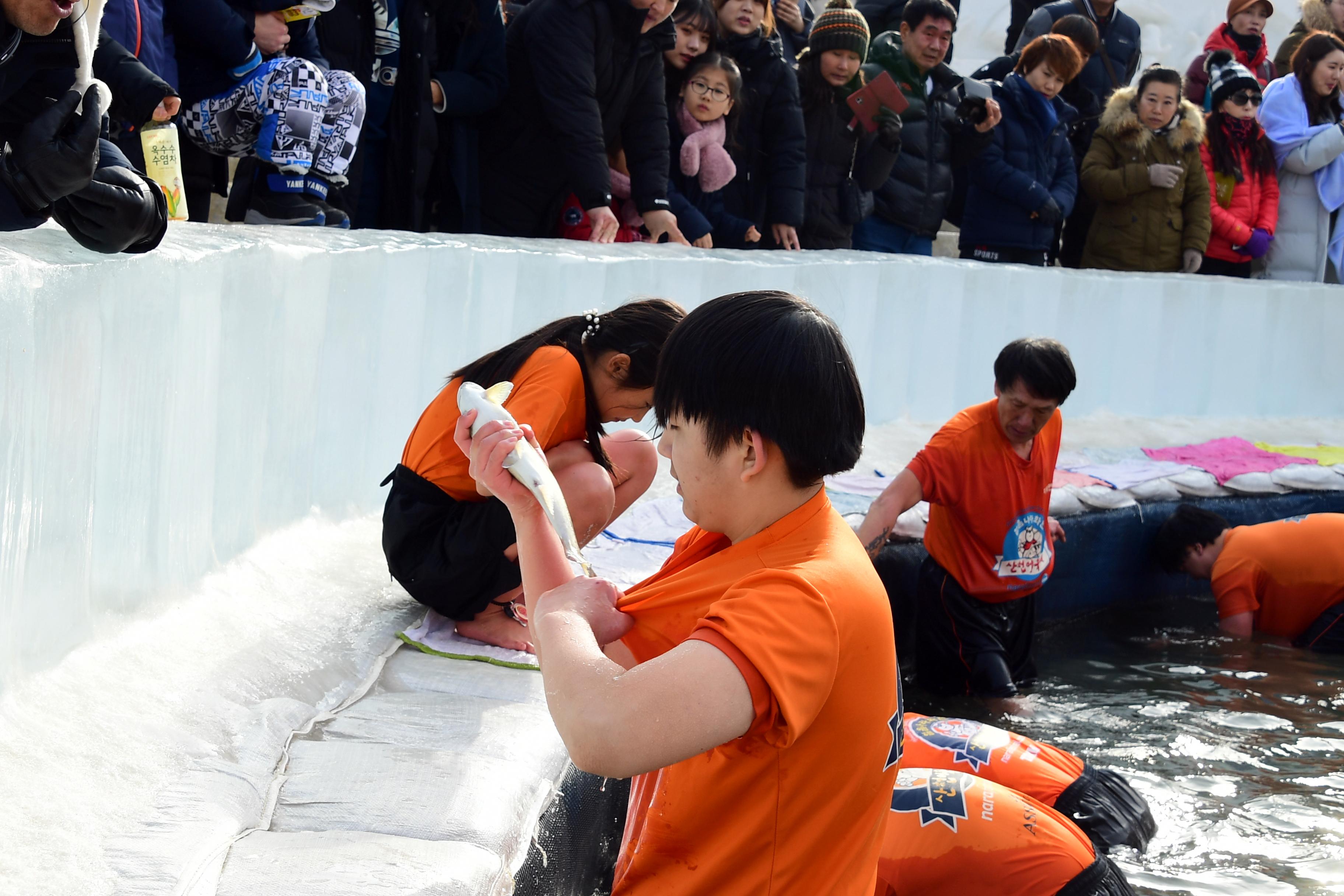 2019 화천산천어축제 산천어맨손잡기장 전경 의 사진