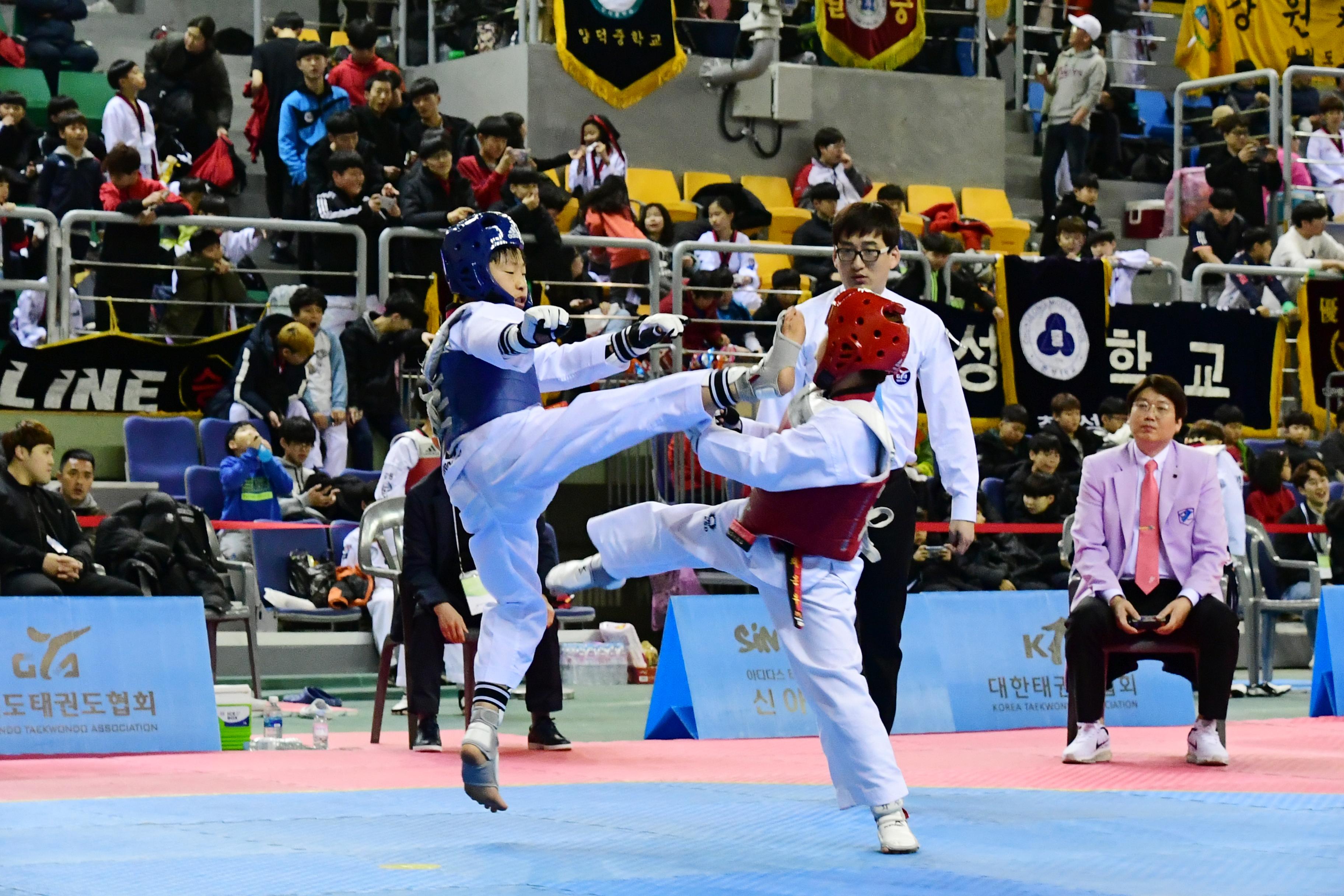 2019 제42회 강원도협회장기 태권도대회 의 사진