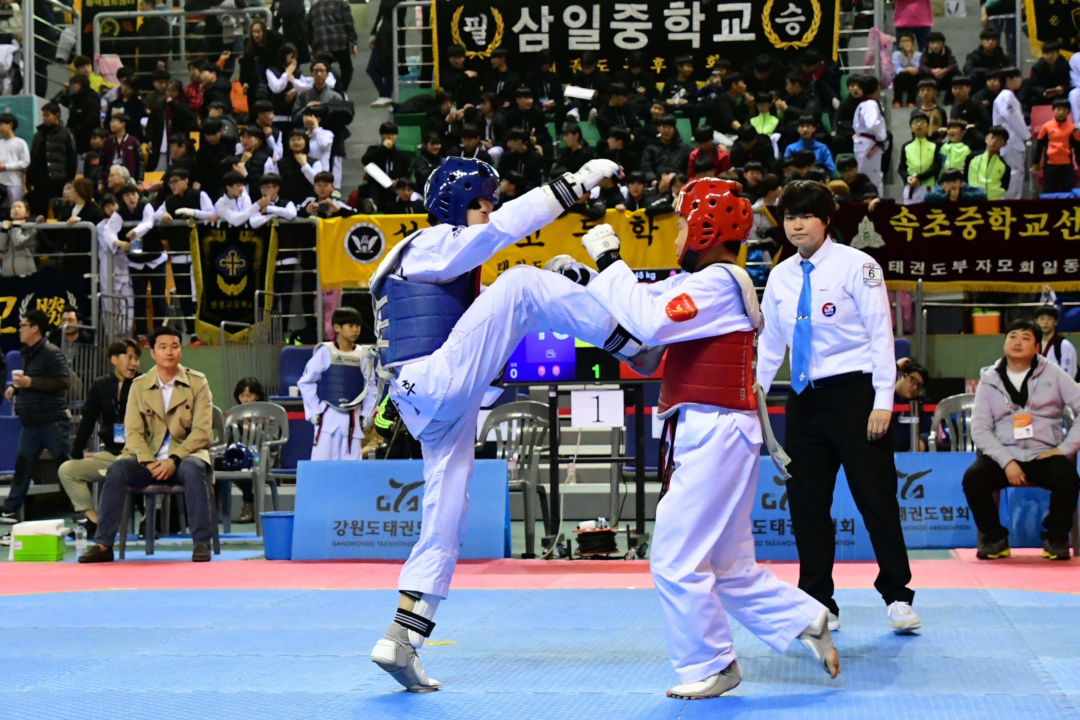 2019 제42회 강원도협회장기 태권도대회 의 사진