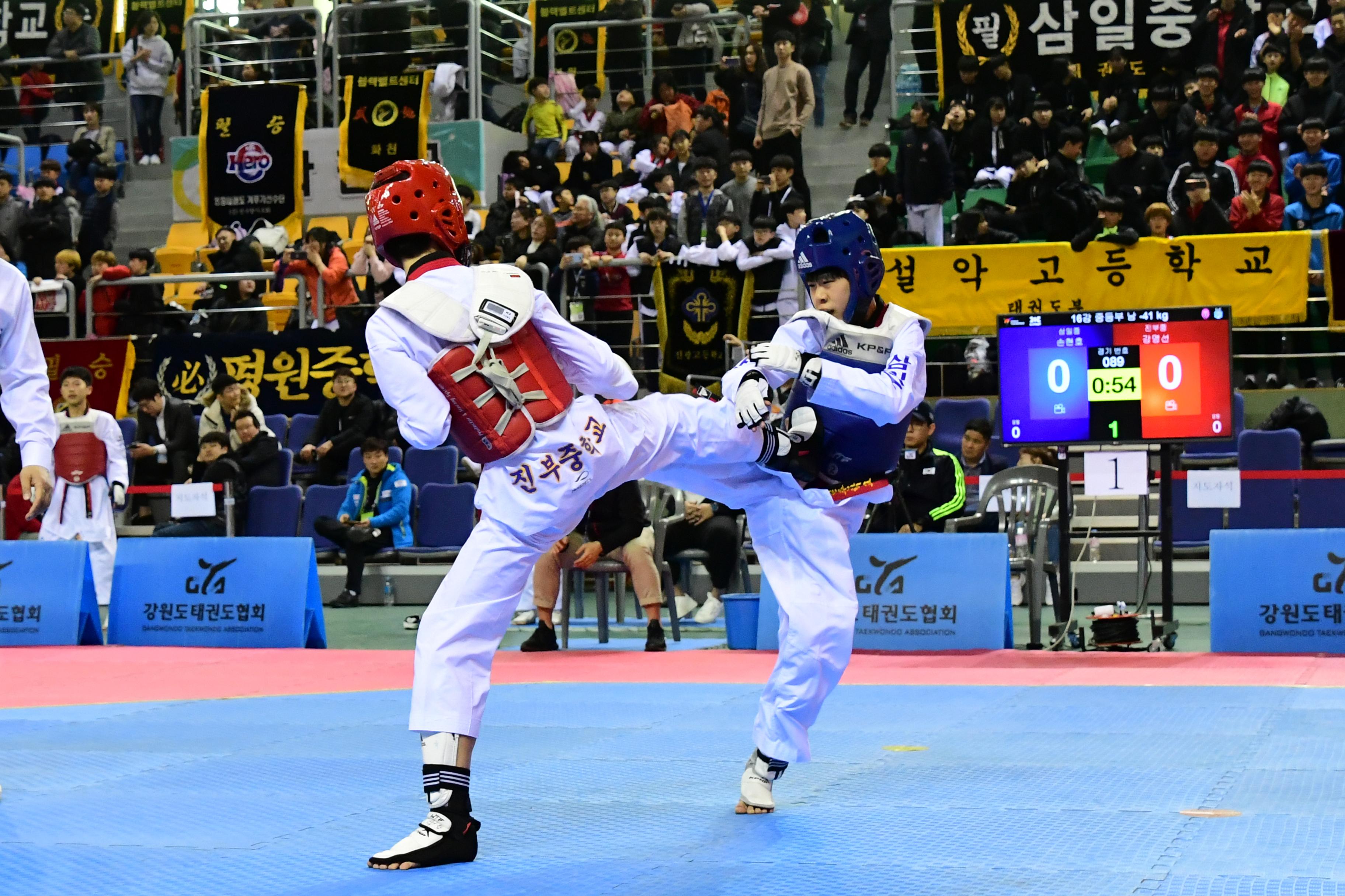 2019 제42회 강원도협회장기 태권도대회 의 사진