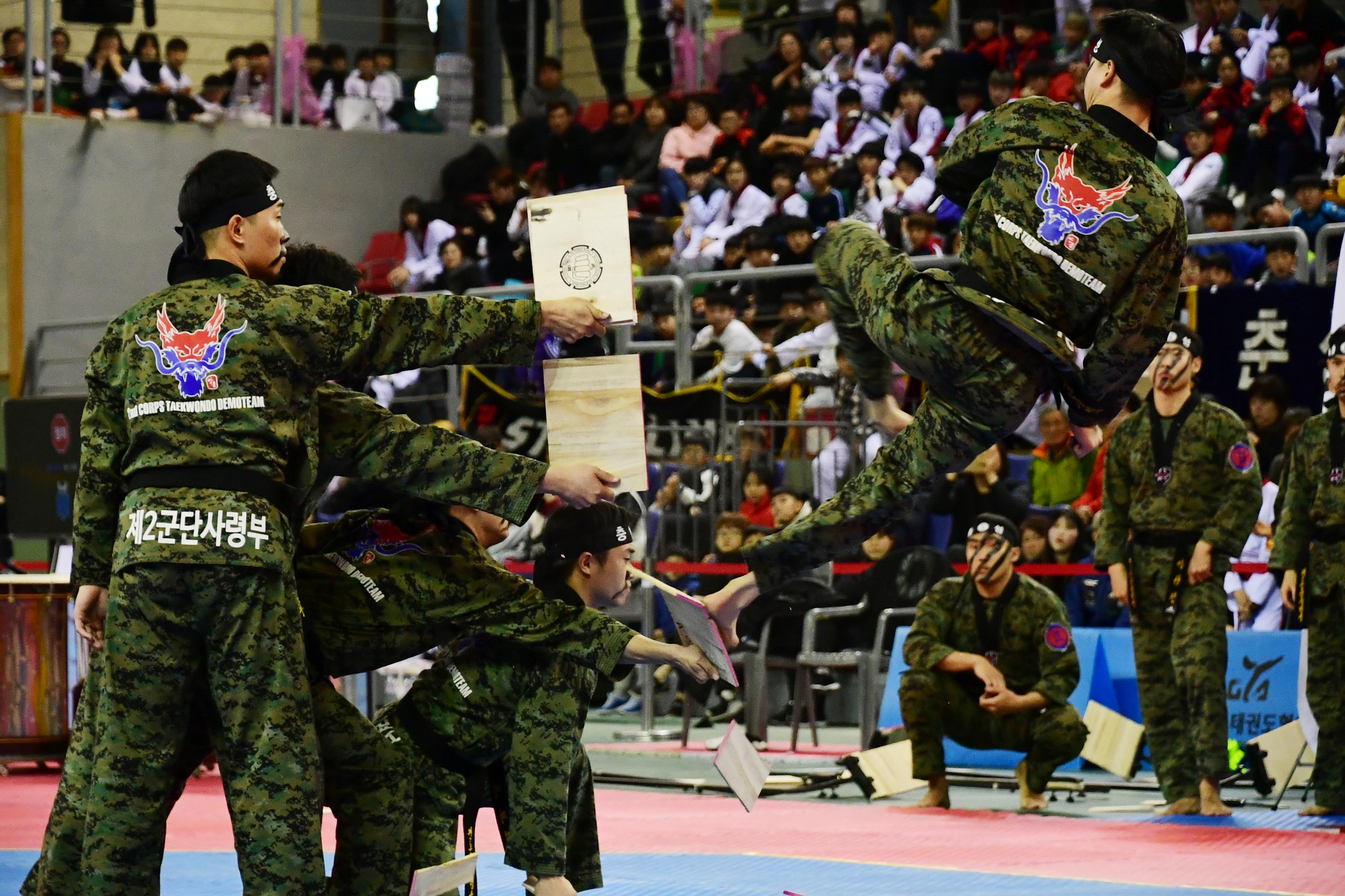 2019 제42회 강원도협회장기 태권도대회 의 사진