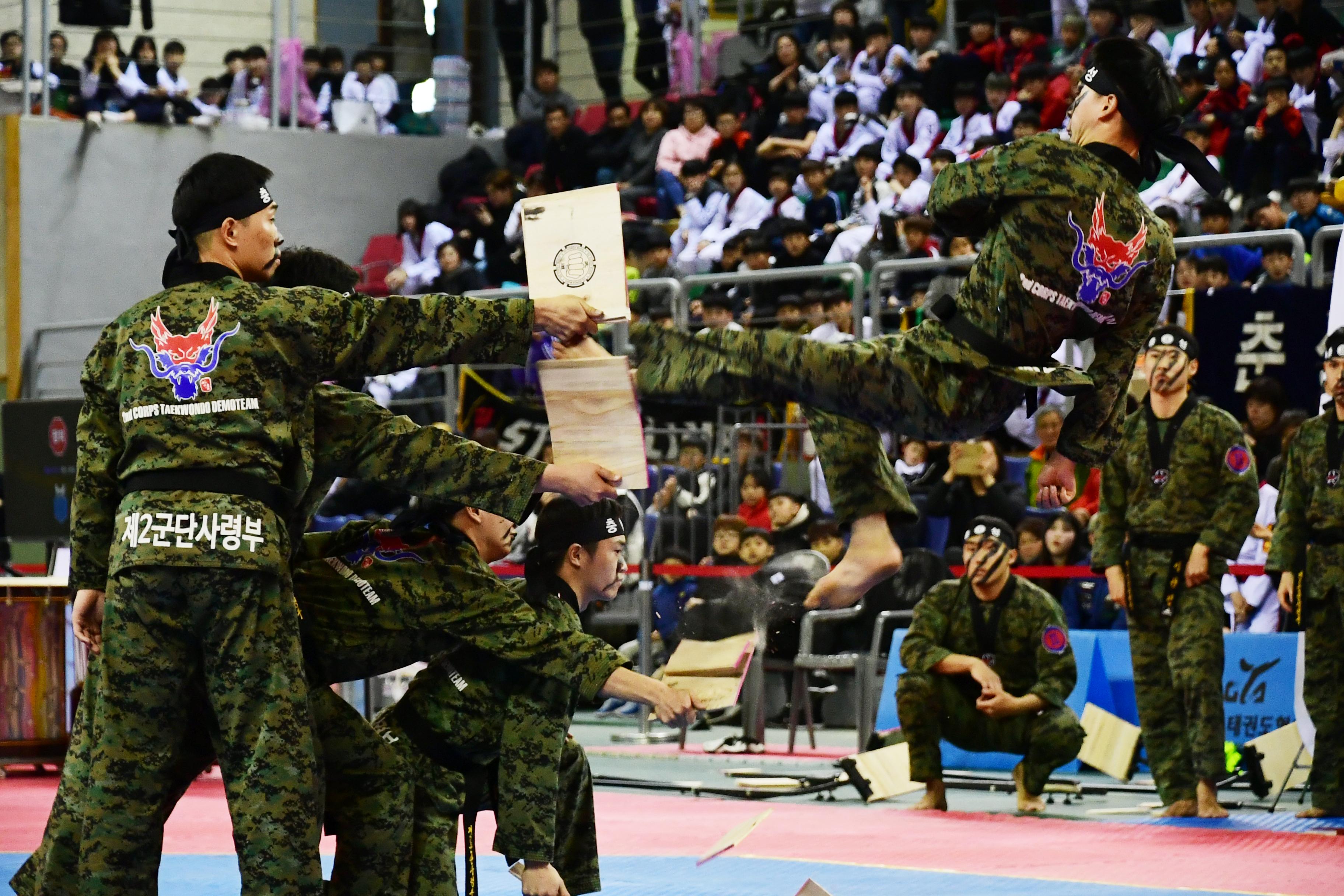 2019 제42회 강원도협회장기 태권도대회 의 사진