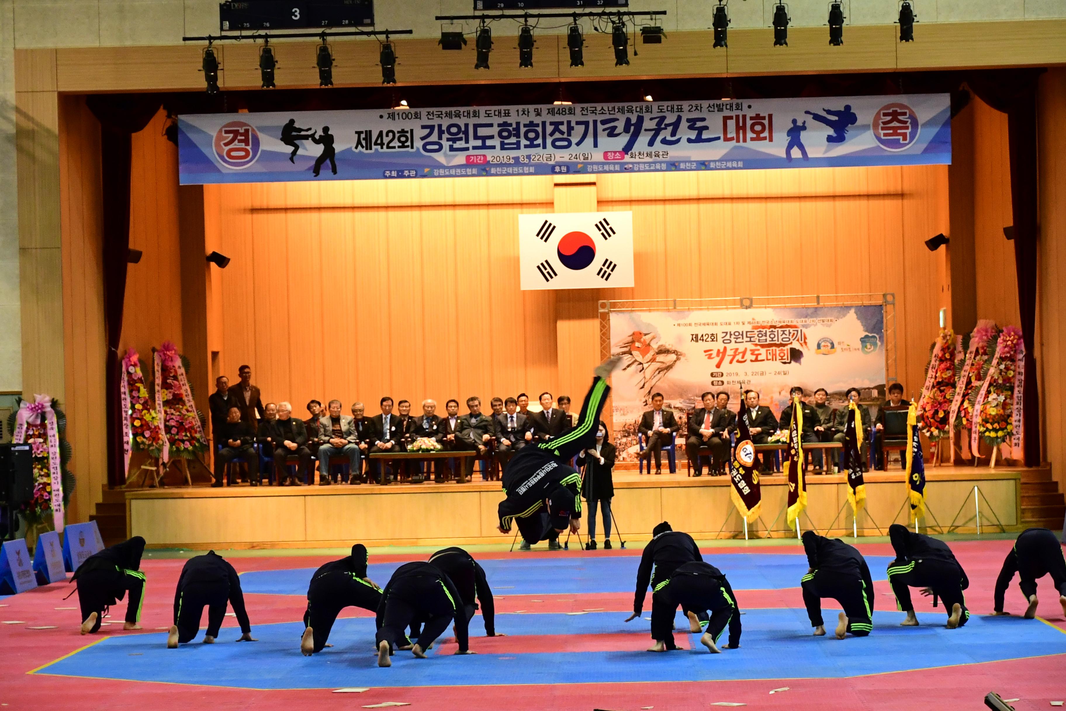 2019 제42회 강원도협회장기 태권도대회 의 사진