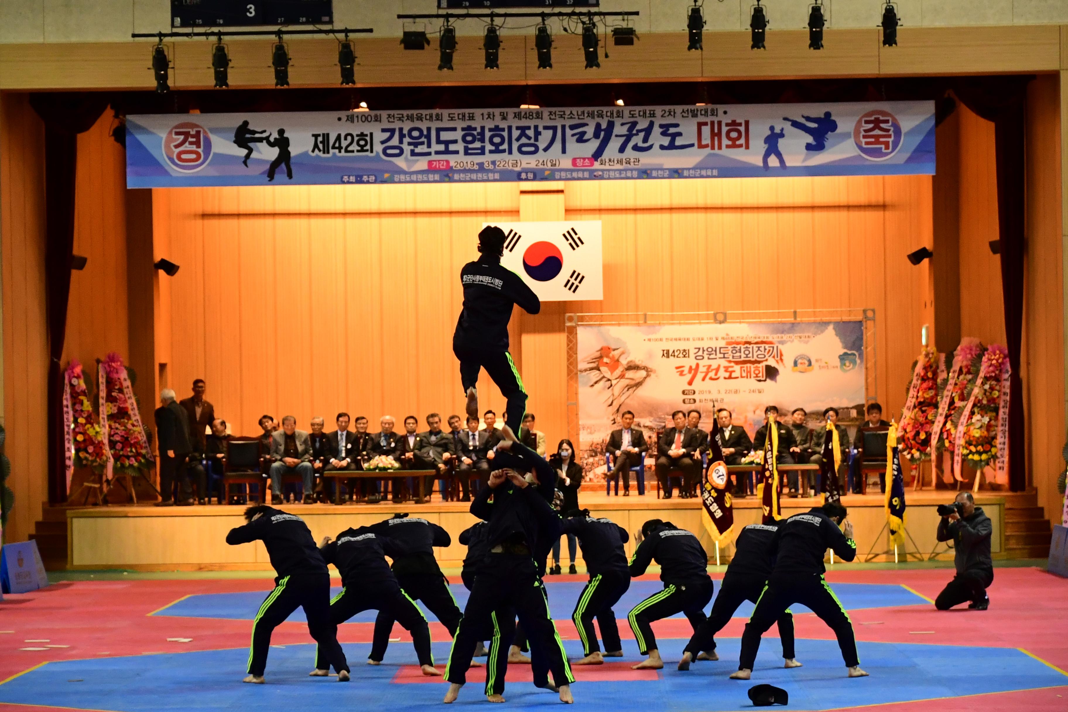 2019 제42회 강원도협회장기 태권도대회 의 사진