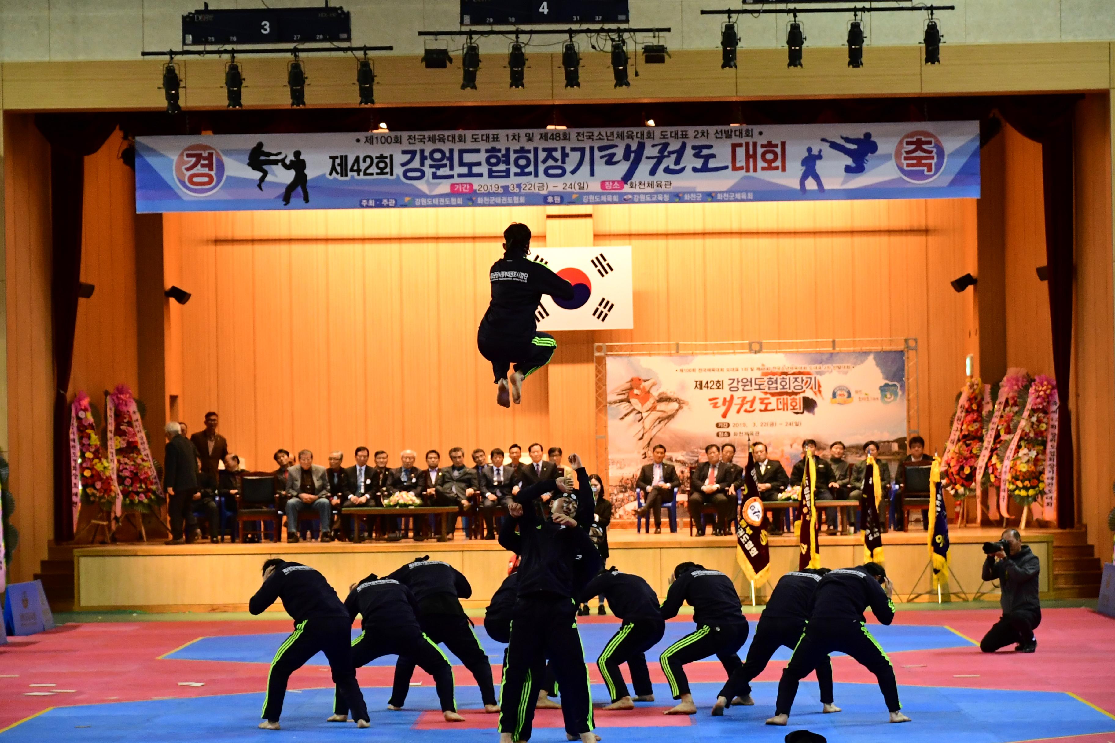 2019 제42회 강원도협회장기 태권도대회 의 사진