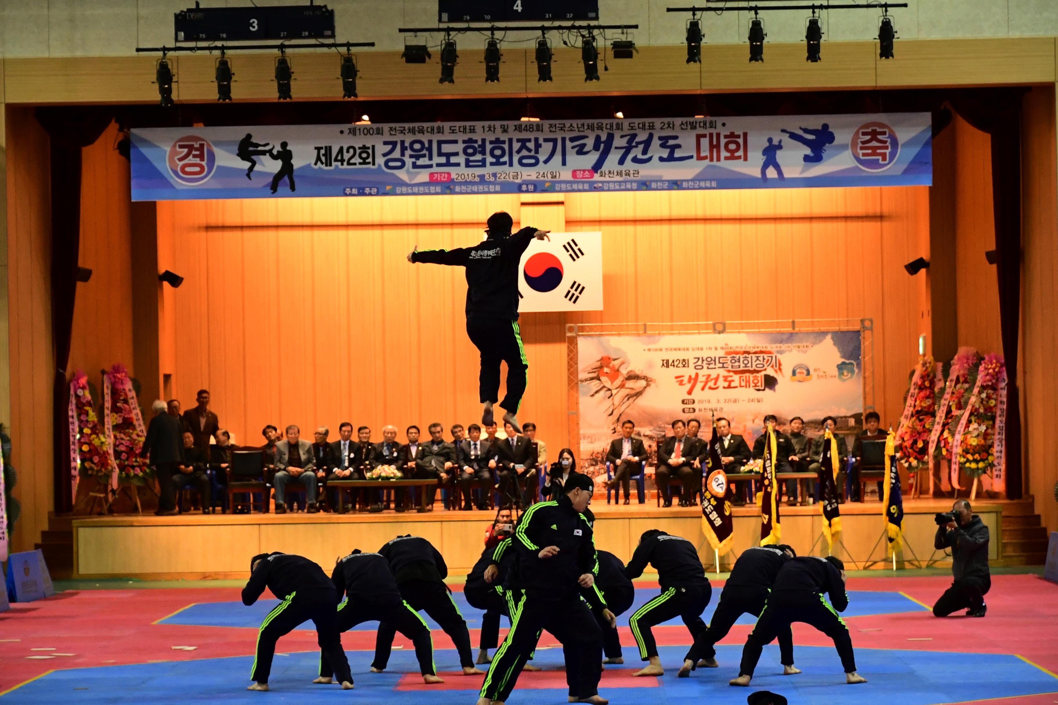 2019 제42회 강원도협회장기 태권도대회 의 사진