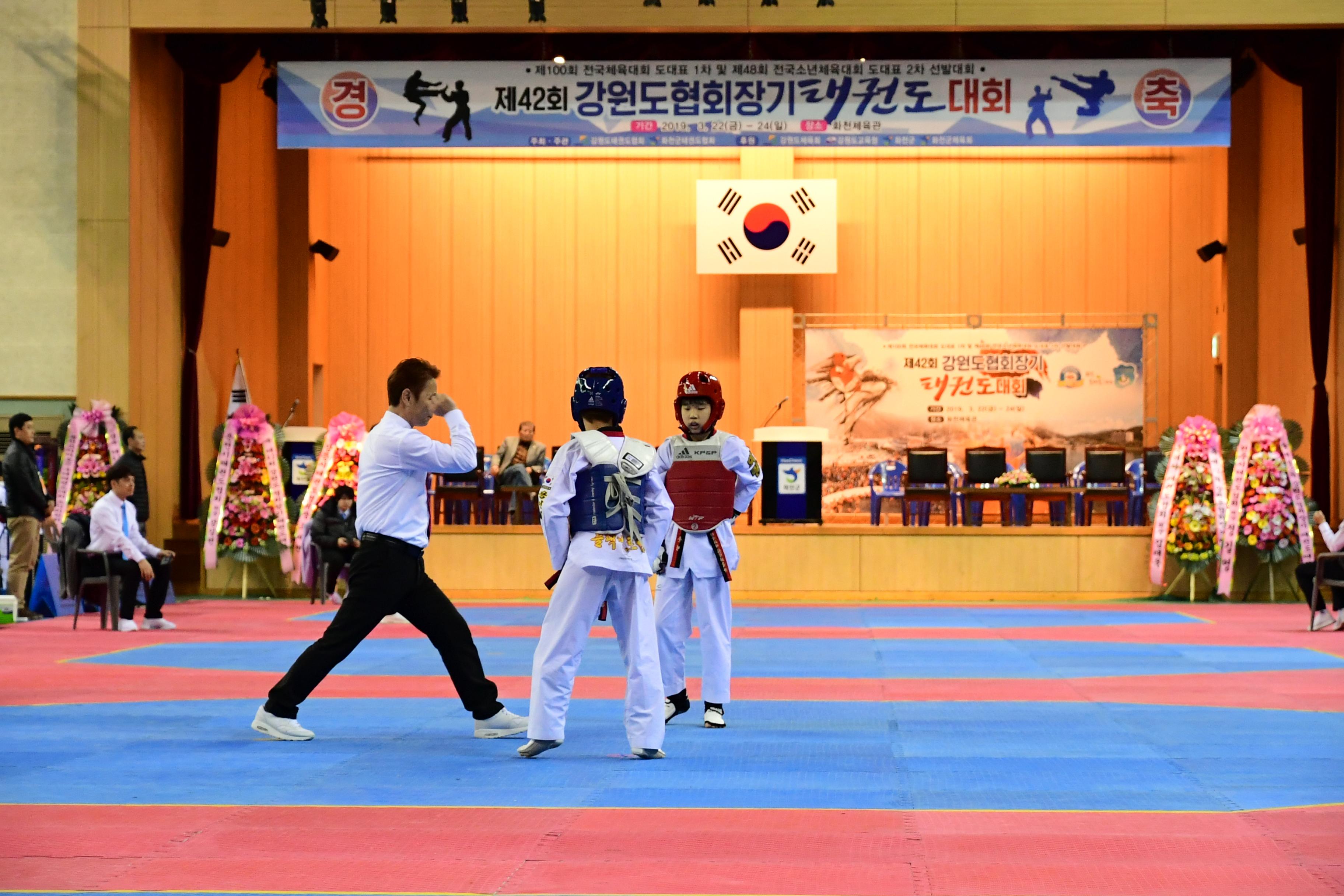 2019 제42회 강원도협회장기 태권도대회 의 사진