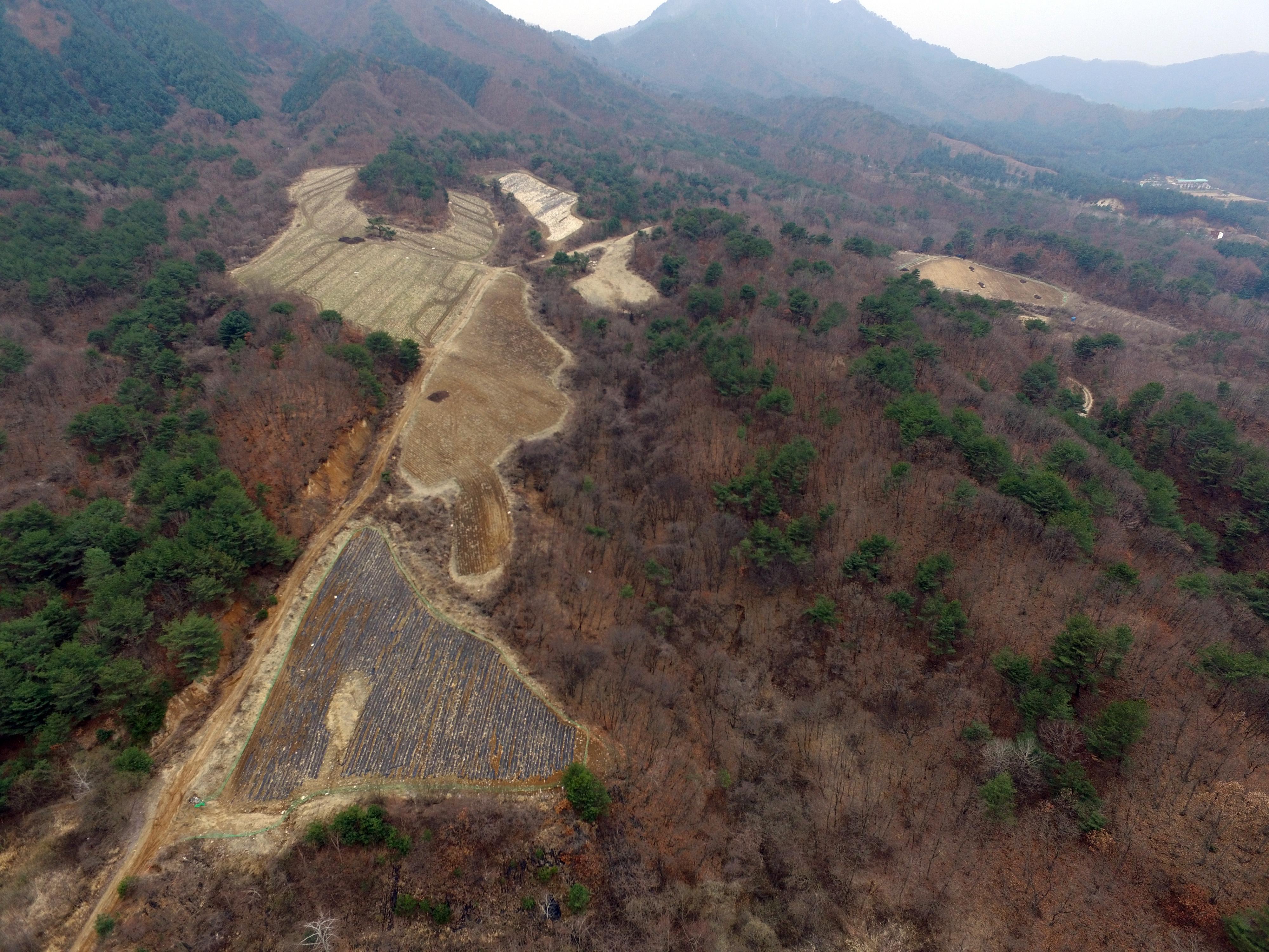 2019 간동면 간척리 전경 의 사진