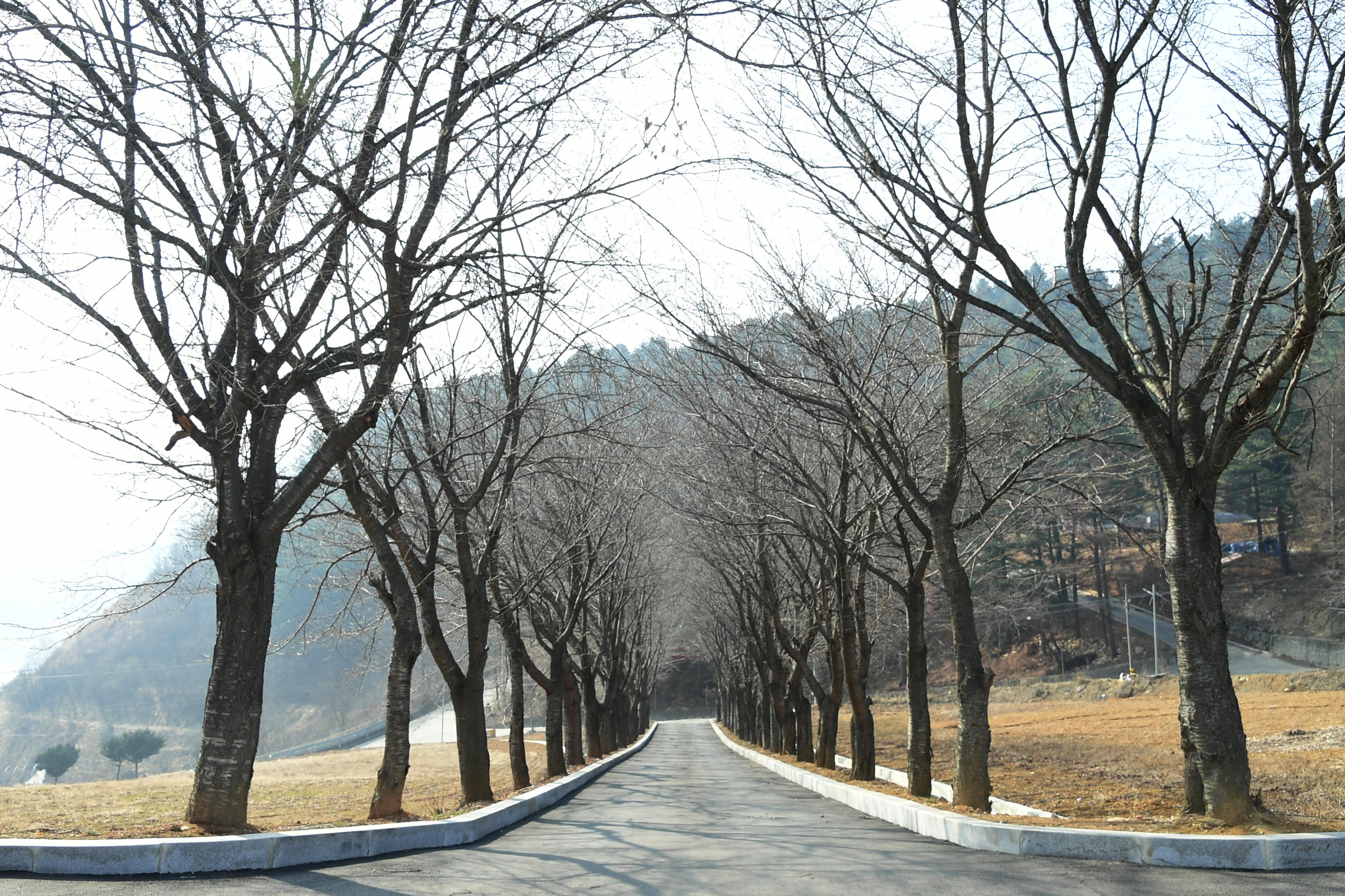 2019 제3회 화천향교 한궁대회 의 사진