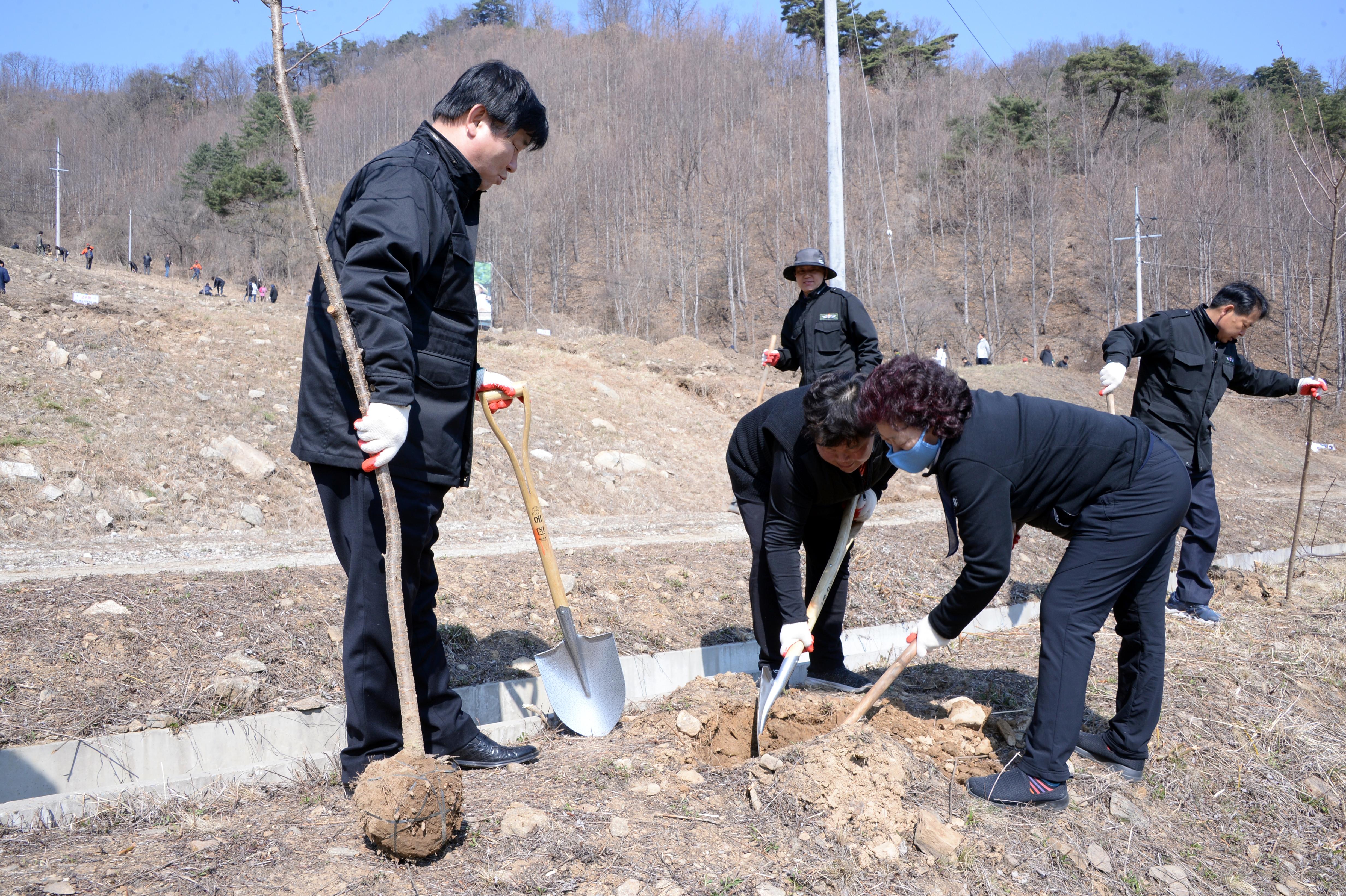 2019 제74회 식목일 기념 나무심기 행사 의 사진