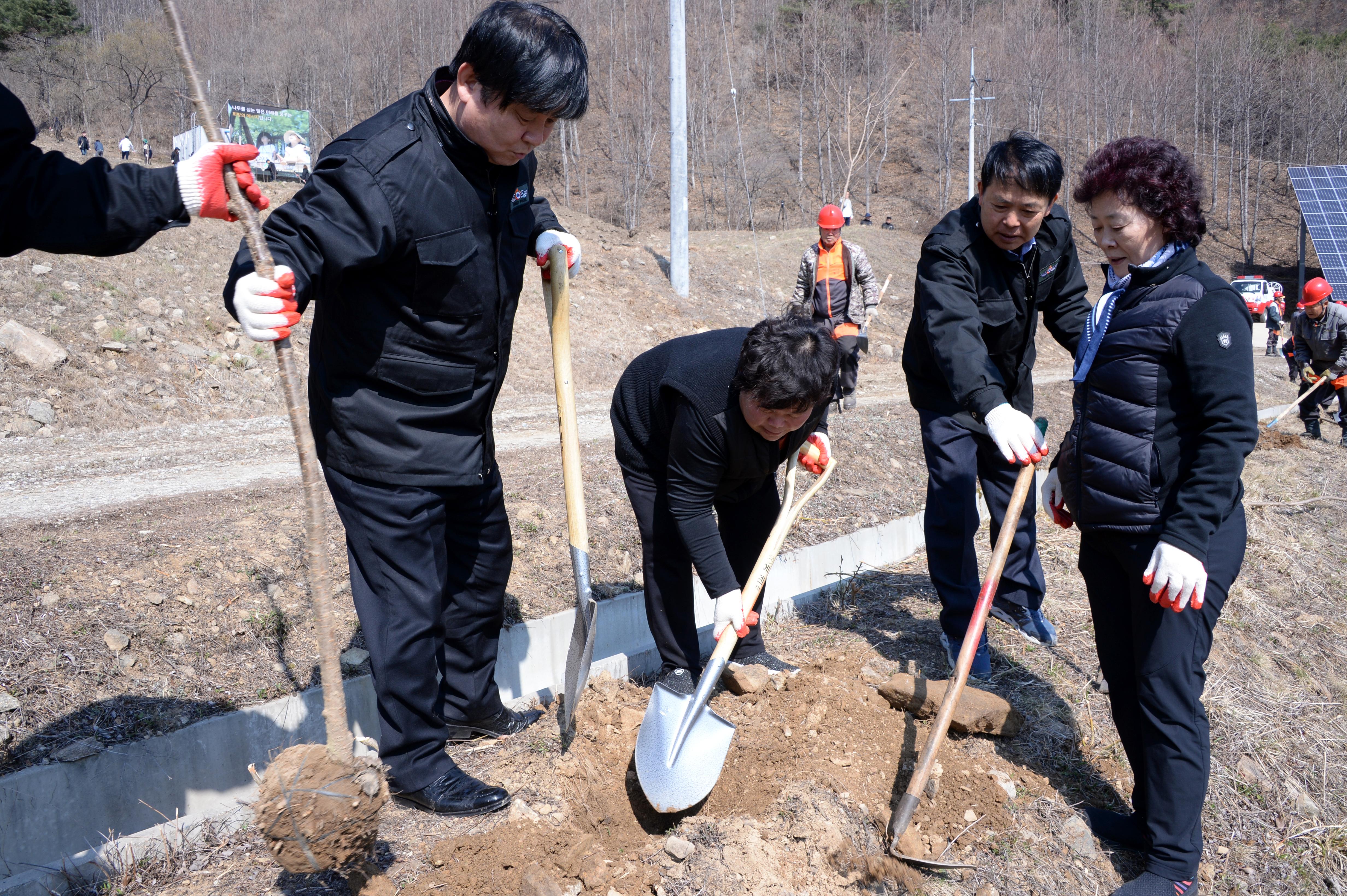 2019 제74회 식목일 기념 나무심기 행사 의 사진