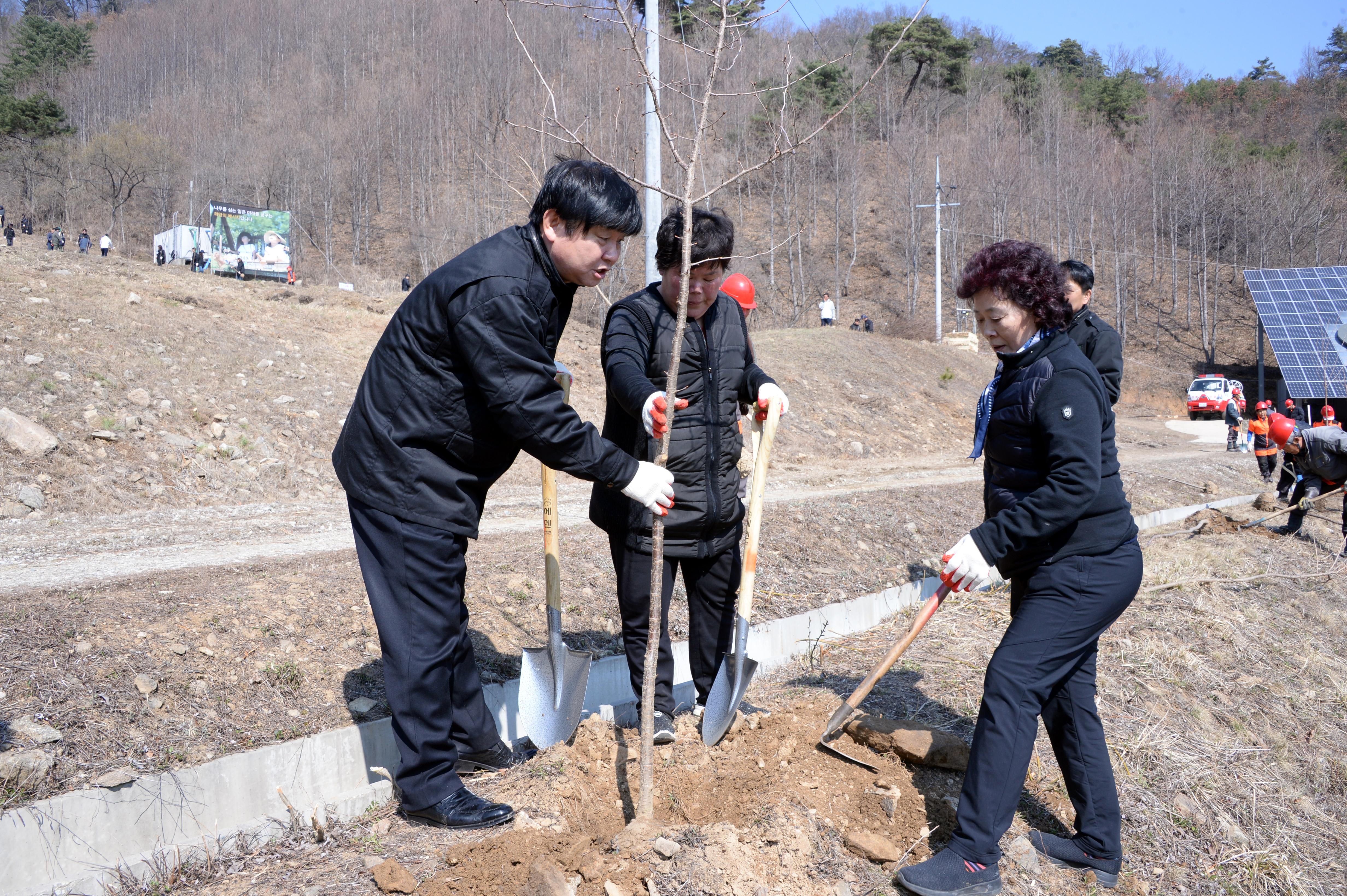 2019 제74회 식목일 기념 나무심기 행사 의 사진