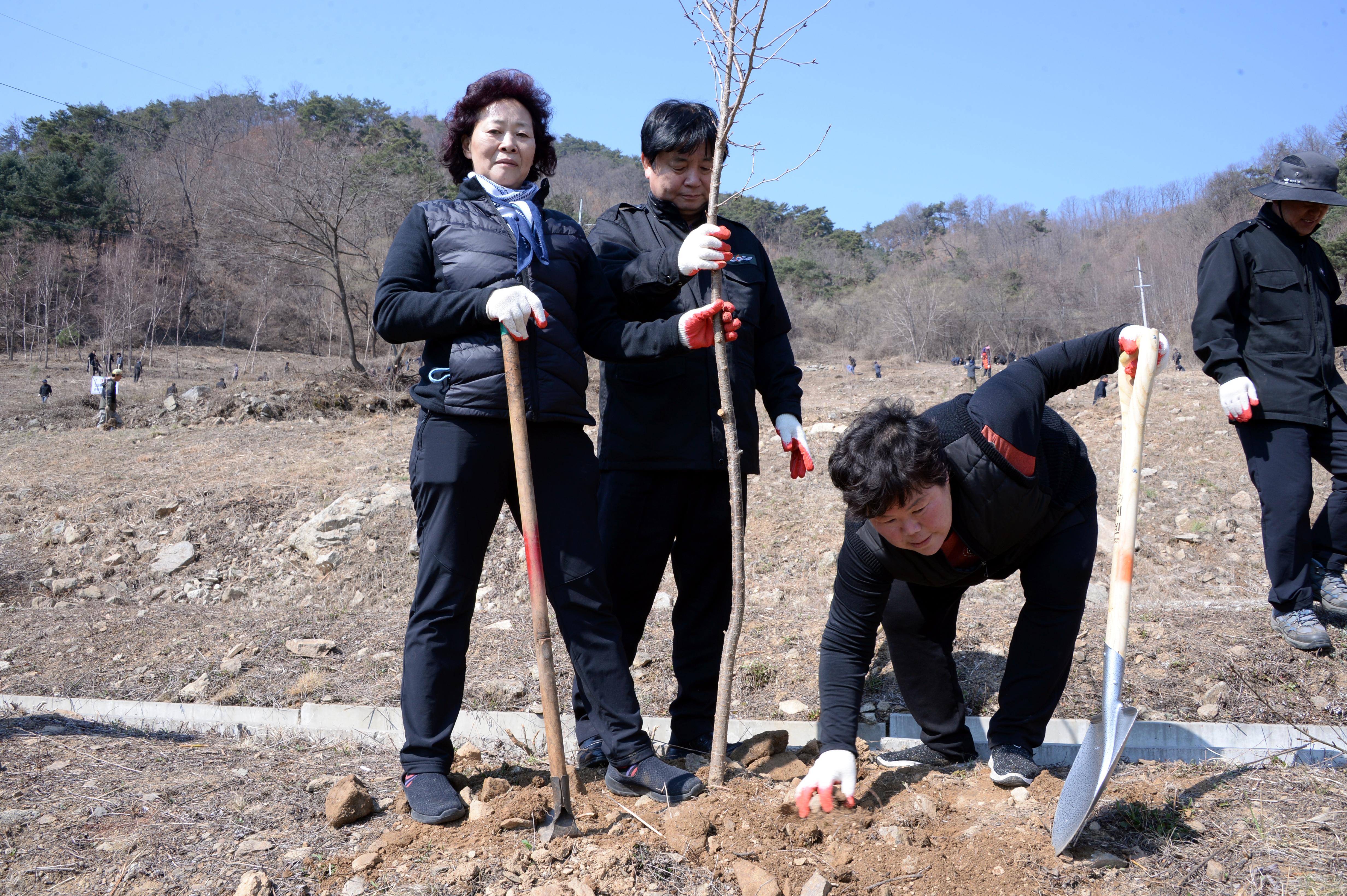 2019 제74회 식목일 기념 나무심기 행사 의 사진