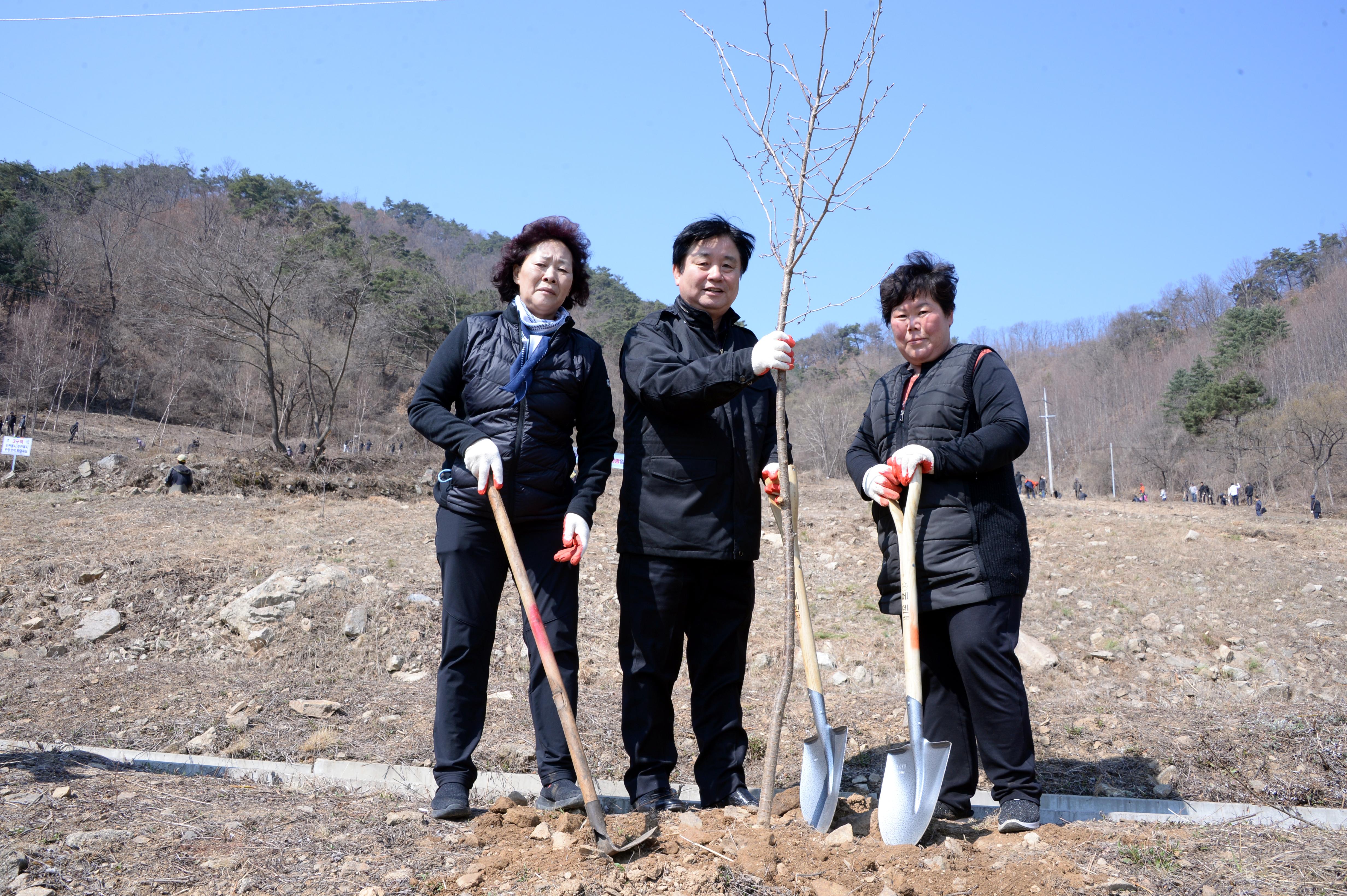 2019 제74회 식목일 기념 나무심기 행사 의 사진