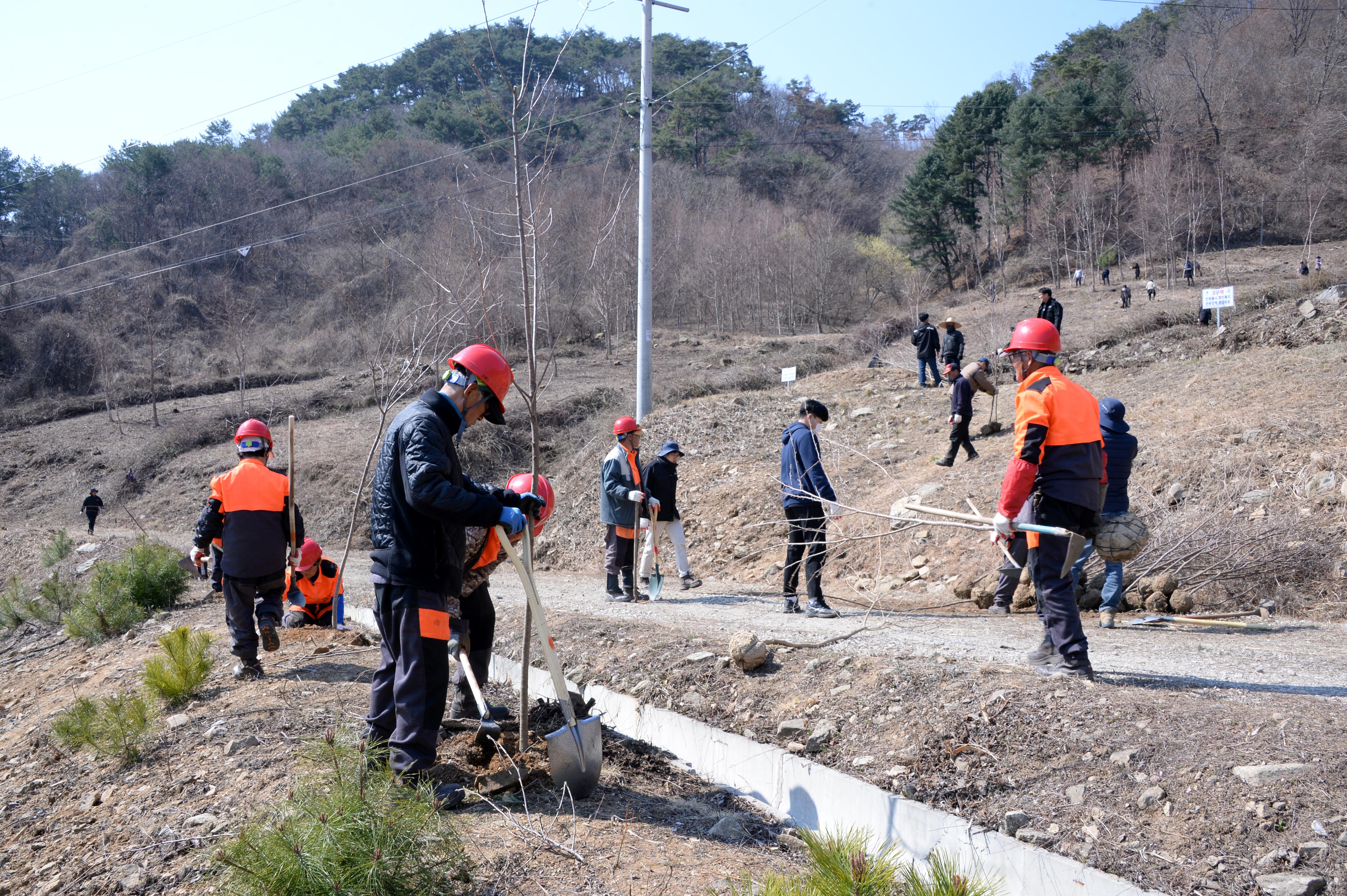 2019 제74회 식목일 기념 나무심기 행사 의 사진