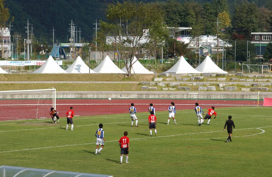 전국대학 동아리축구 의 사진