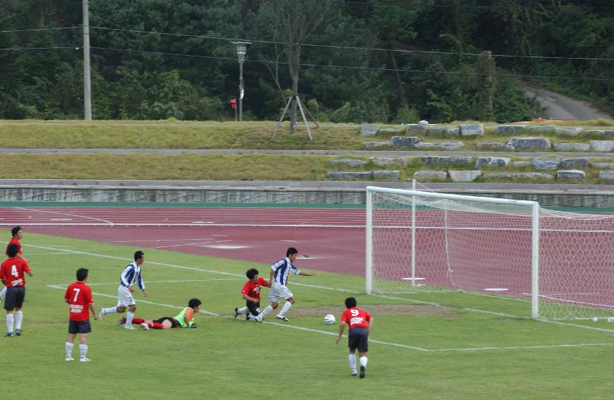 전국대학 동아리축구 의 사진