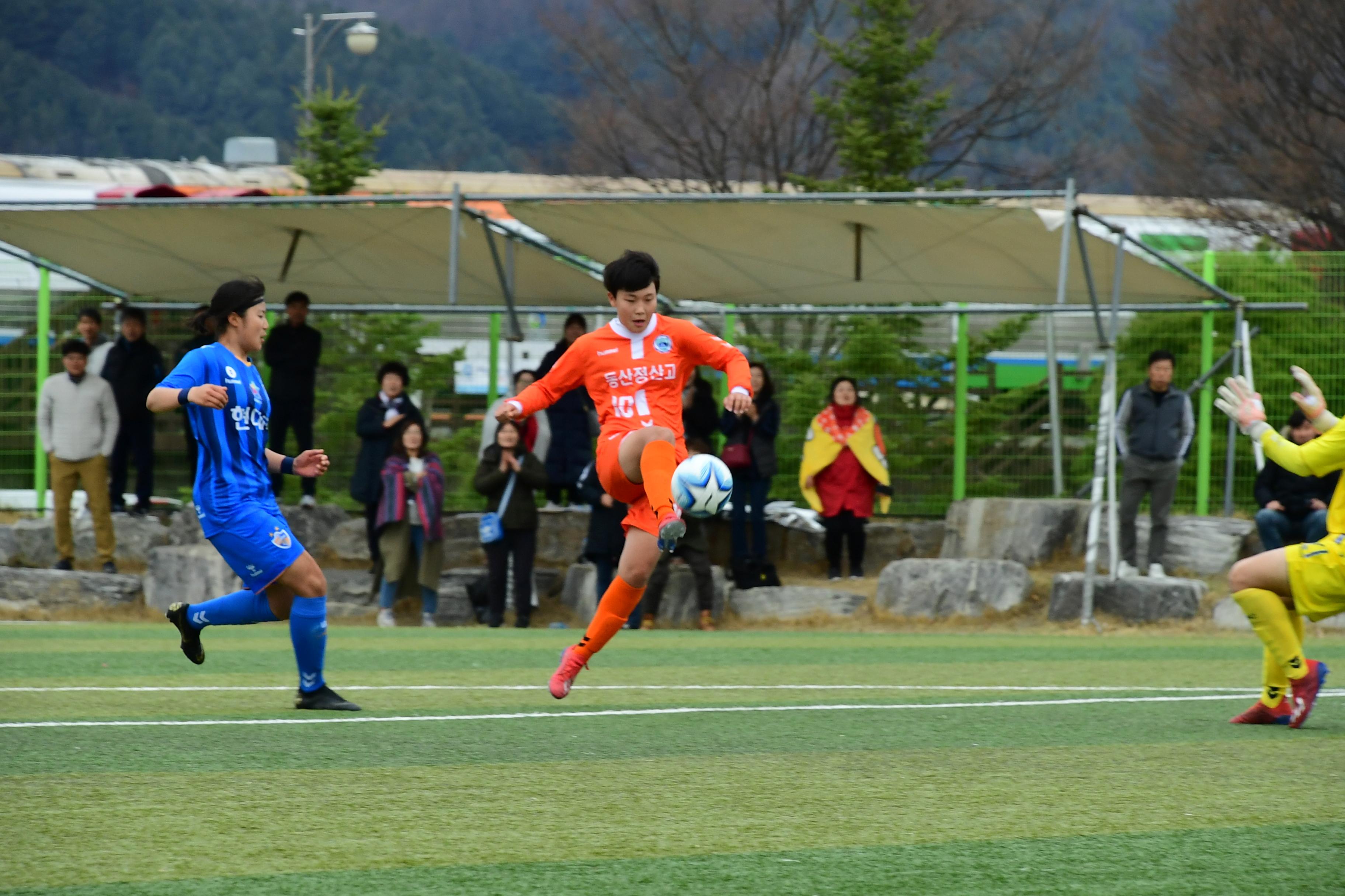 2019 춘계한국연자축구연맹전 의 사진