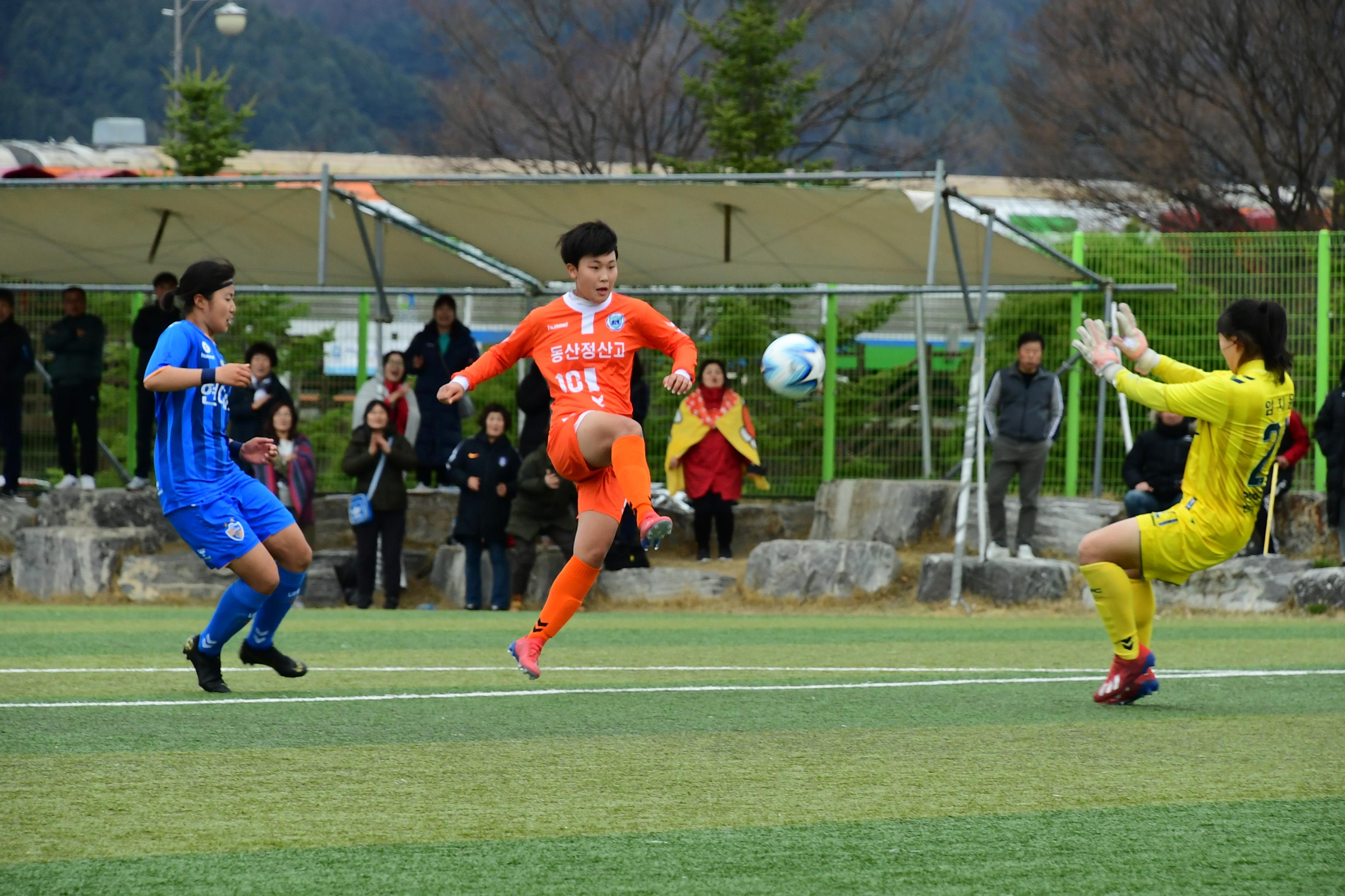 2019 춘계한국연자축구연맹전 의 사진