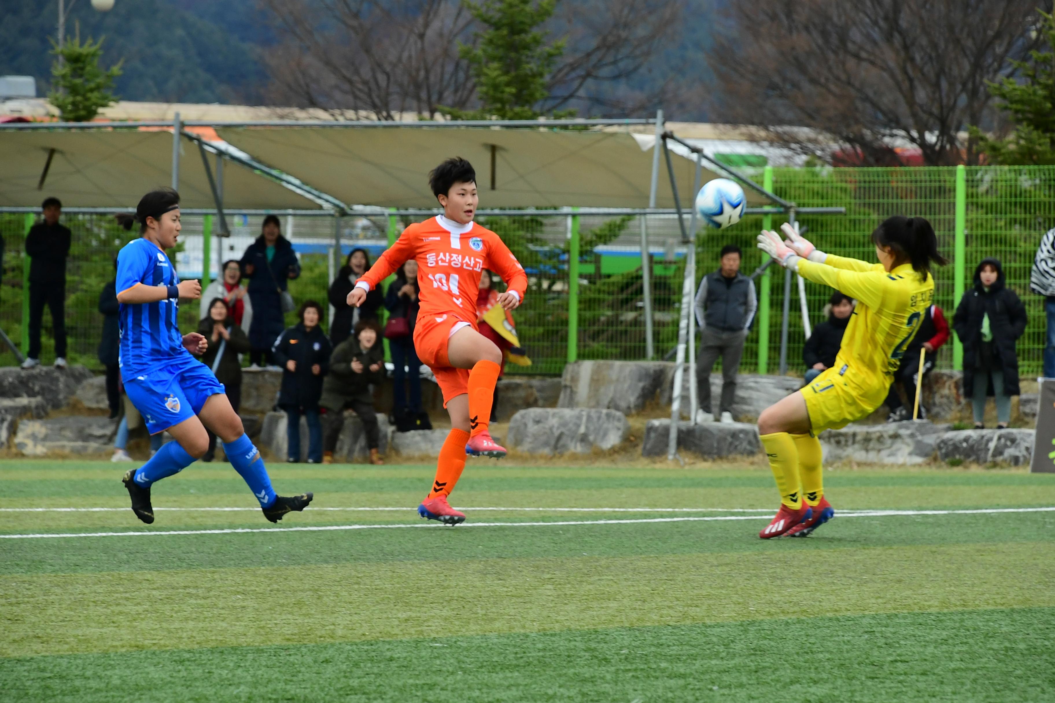 2019 춘계한국연자축구연맹전 의 사진